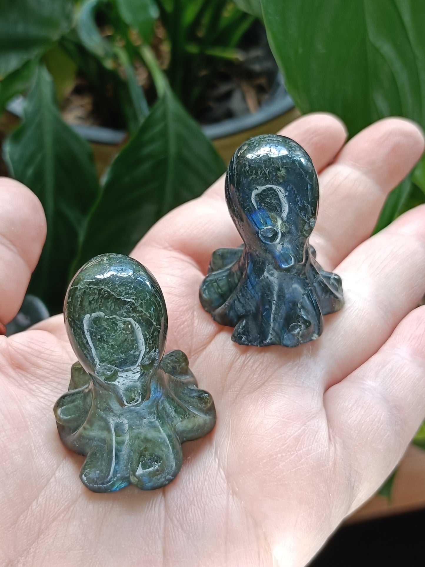 Small Labradorite Octopus Carving - 40-50g