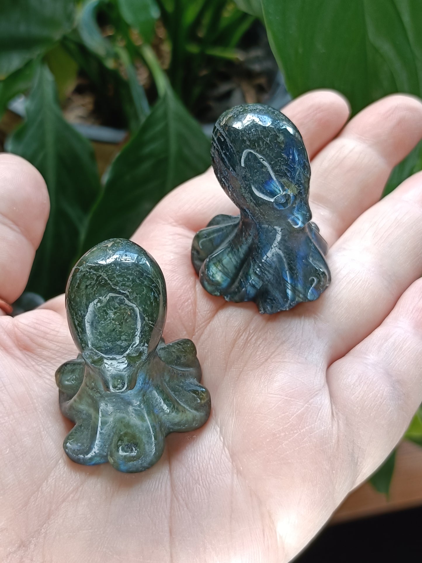 Small Labradorite Octopus Carving - 40-50g