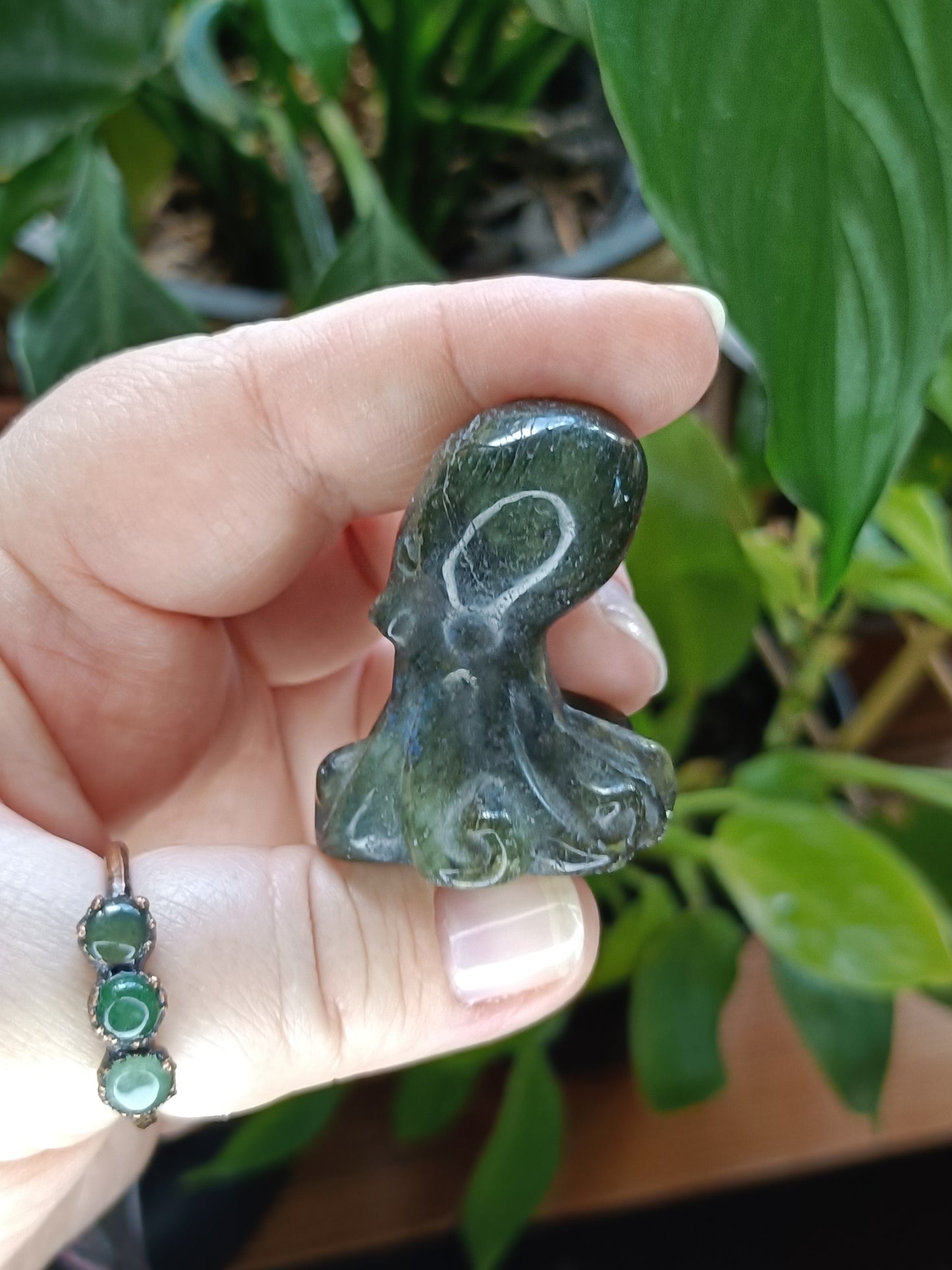 Small Labradorite Octopus Carving - 40-50g