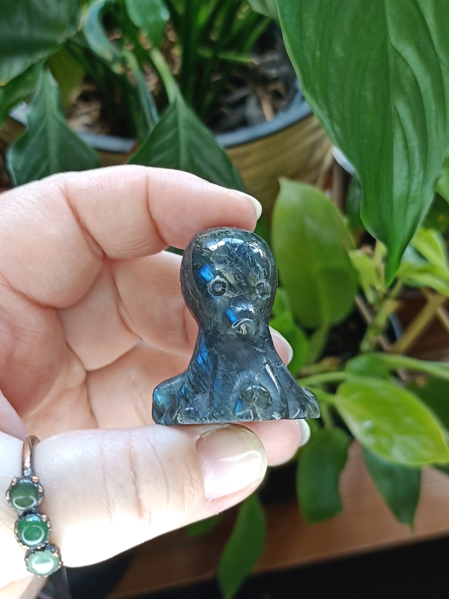 Small Labradorite Octopus Carving - 40-50g