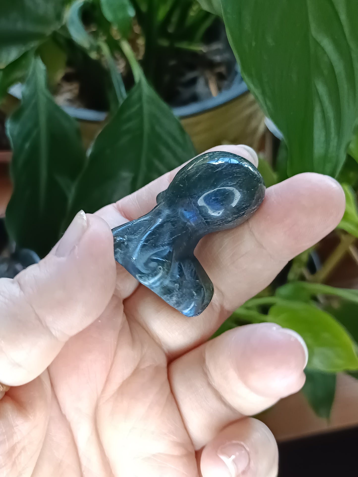Small Labradorite Octopus Carving - 40-50g