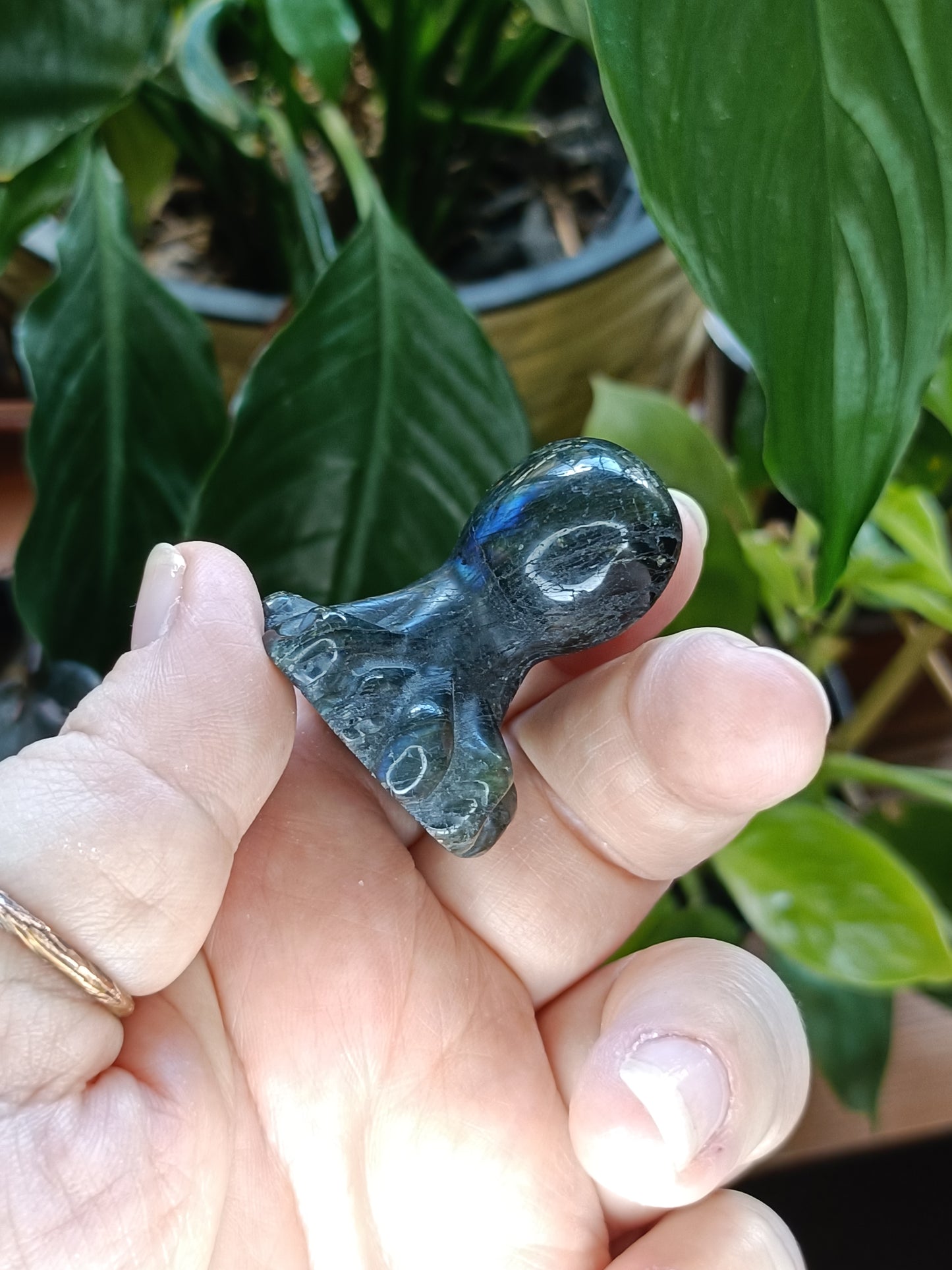 Small Labradorite Octopus Carving - 40-50g