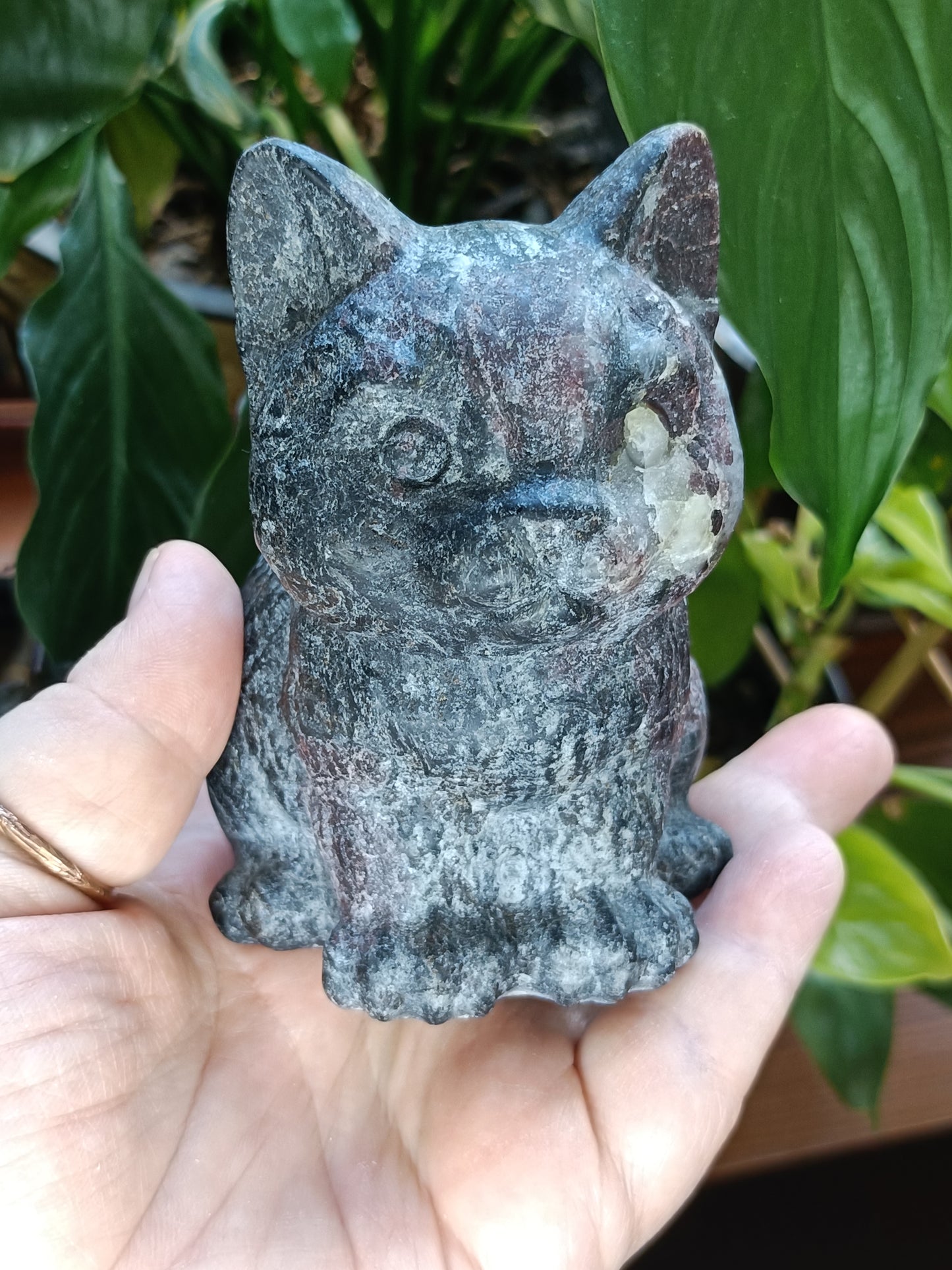 Garnet and Anthophyllite Sitting Cat Carving - 743g