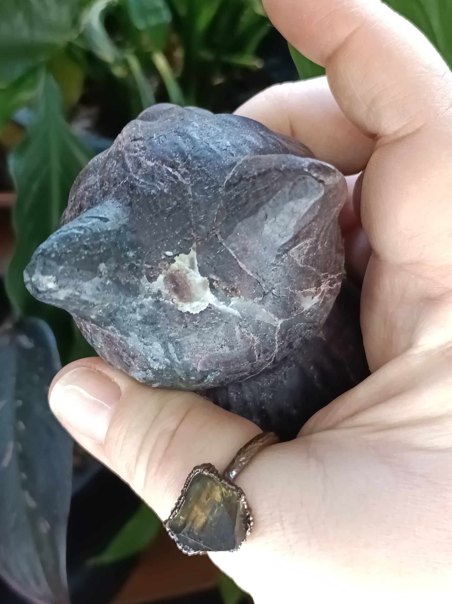 Garnet and Anthophyllite Sitting Cat Carving - 837g