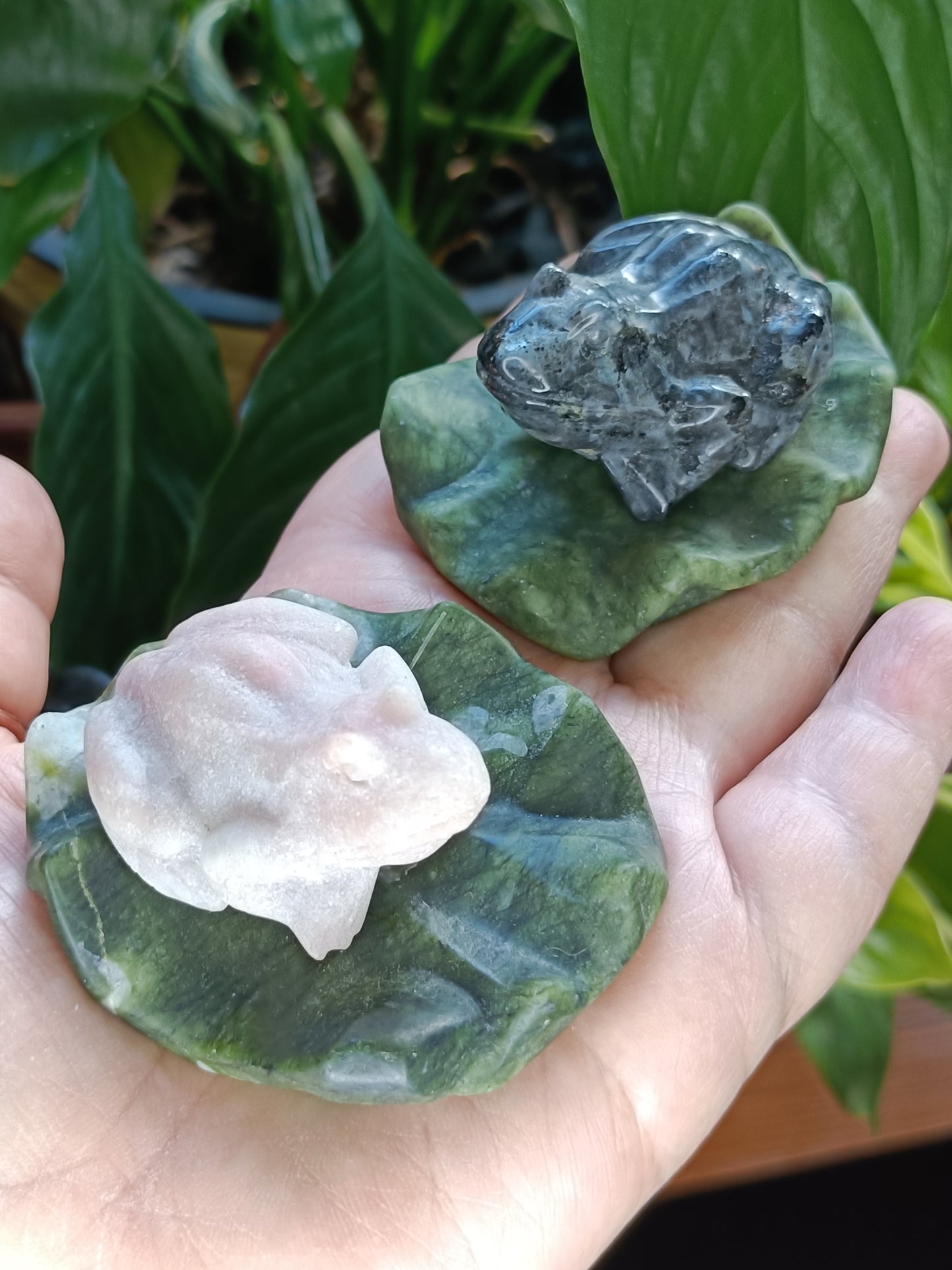Frog on Lily Pad Small Carving - 80-110g