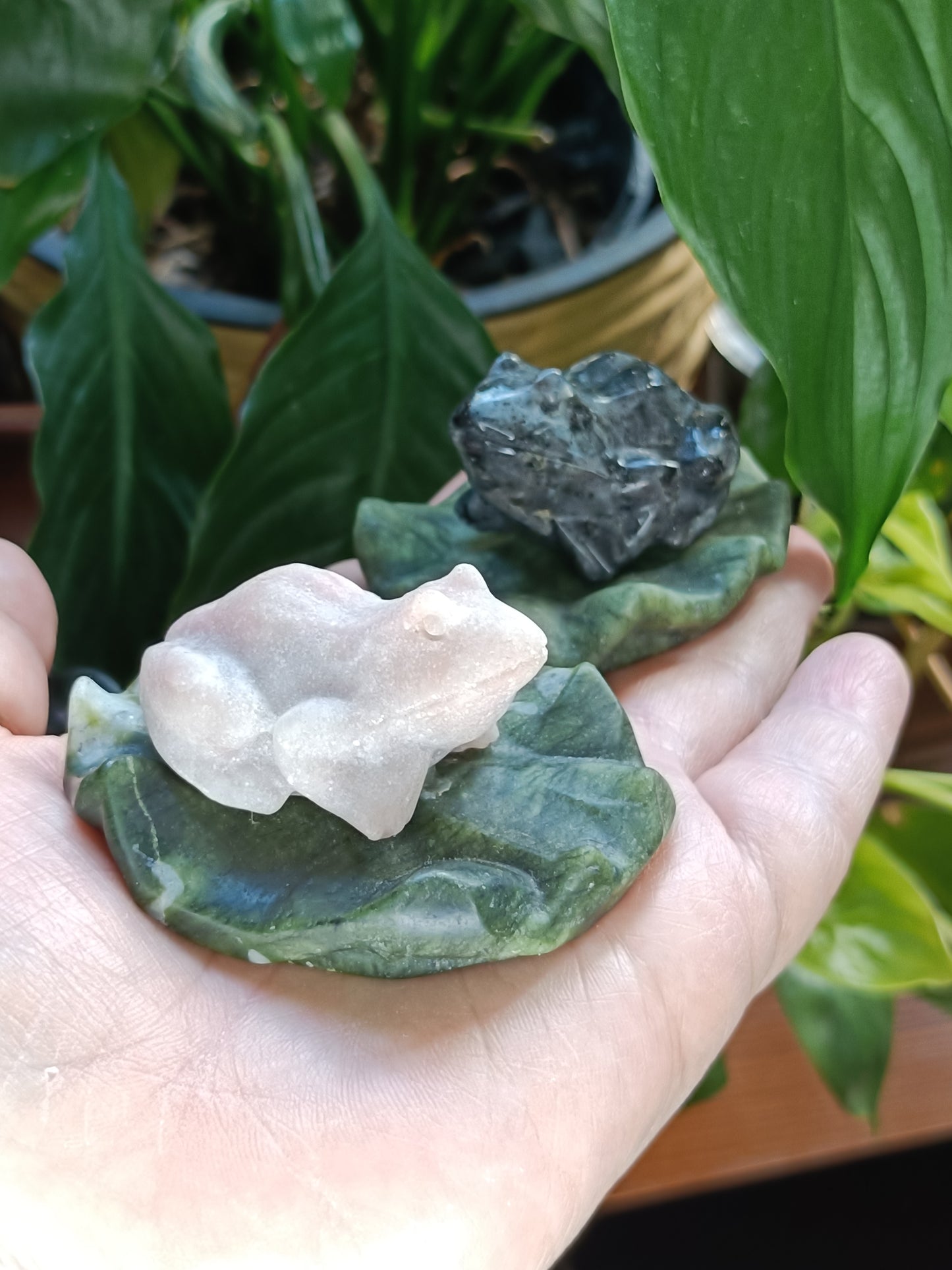 Frog on Lily Pad Small Carving - 80-110g