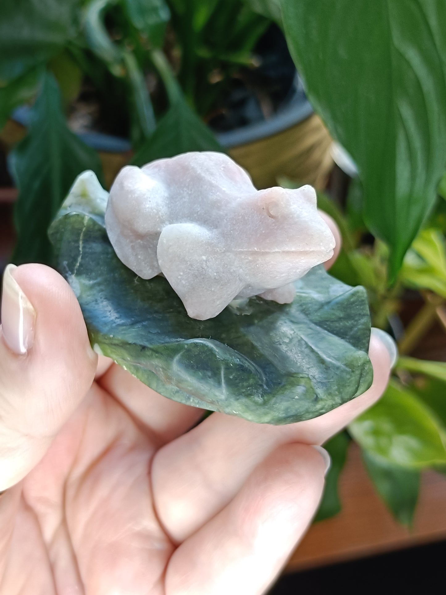 Frog on Lily Pad Small Carving - 80-110g