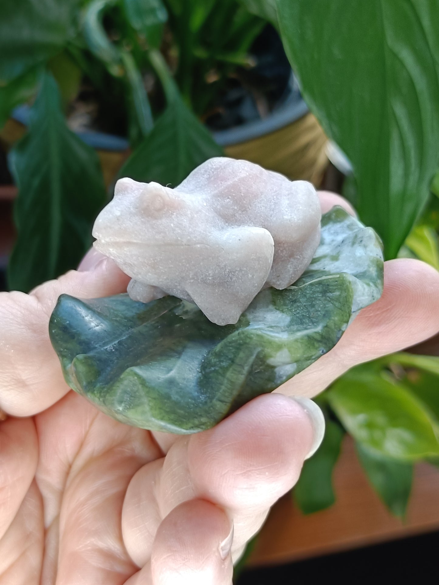 Frog on Lily Pad Small Carving - 80-110g