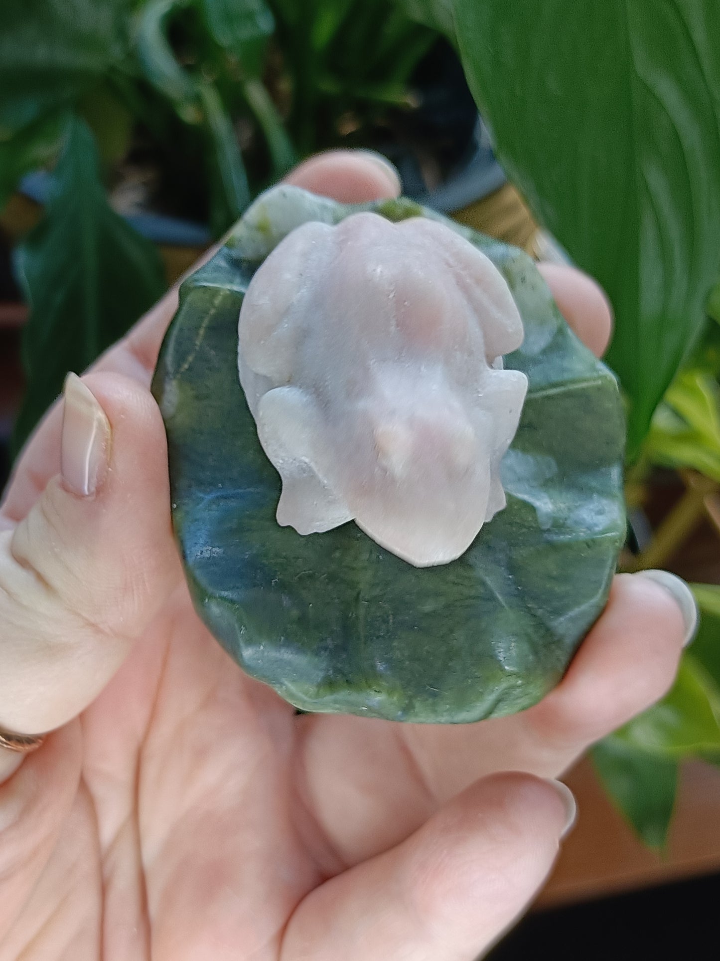 Frog on Lily Pad Small Carving - 80-110g
