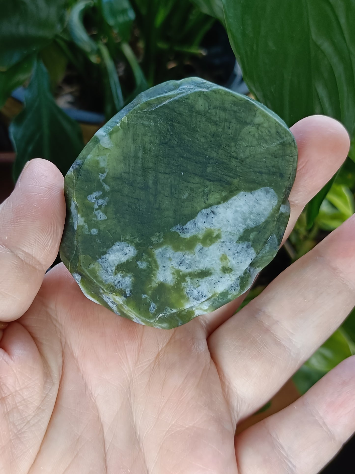 Frog on Lily Pad Small Carving - 80-110g