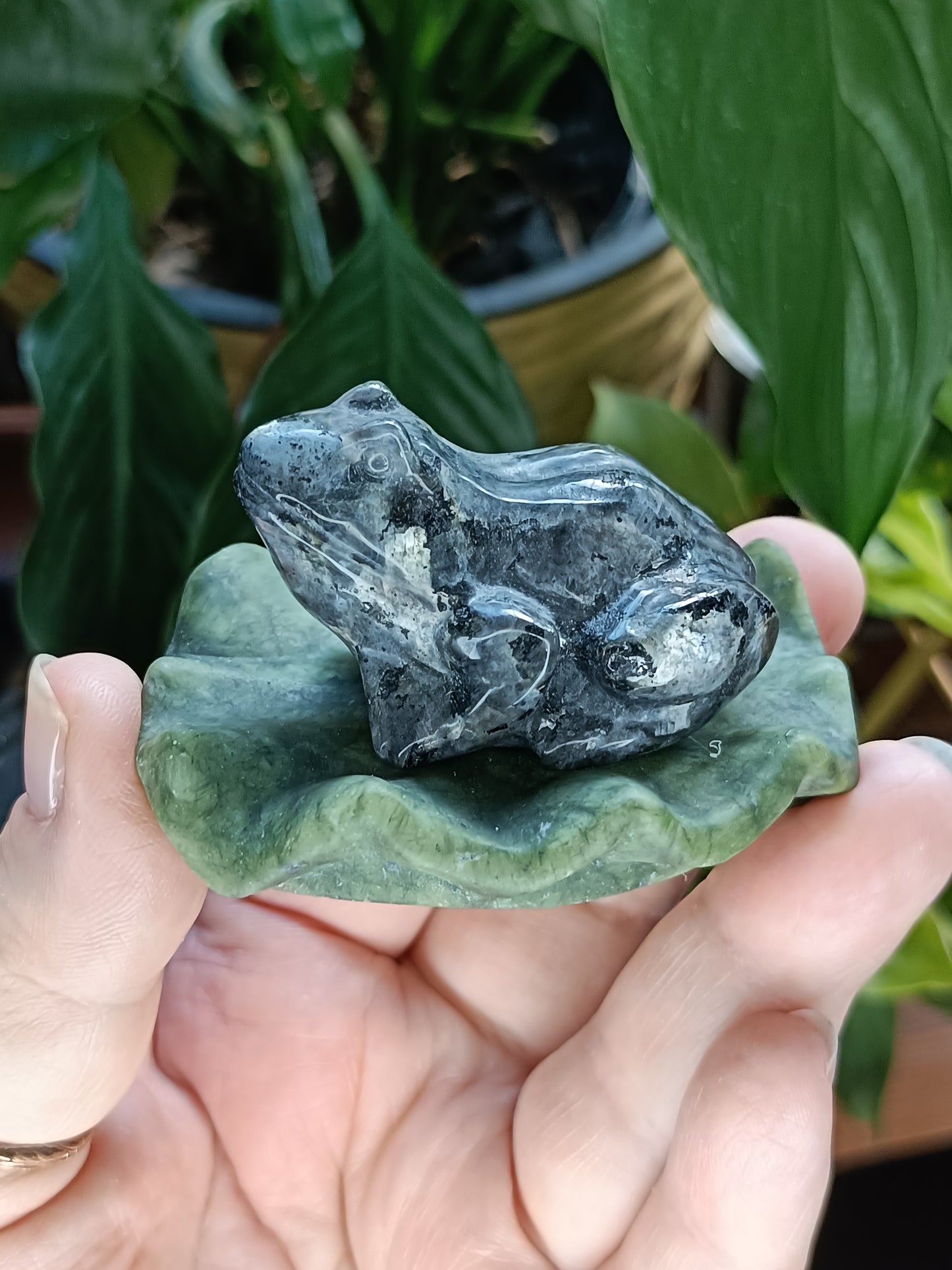 Frog on Lily Pad Small Carving - 80-110g