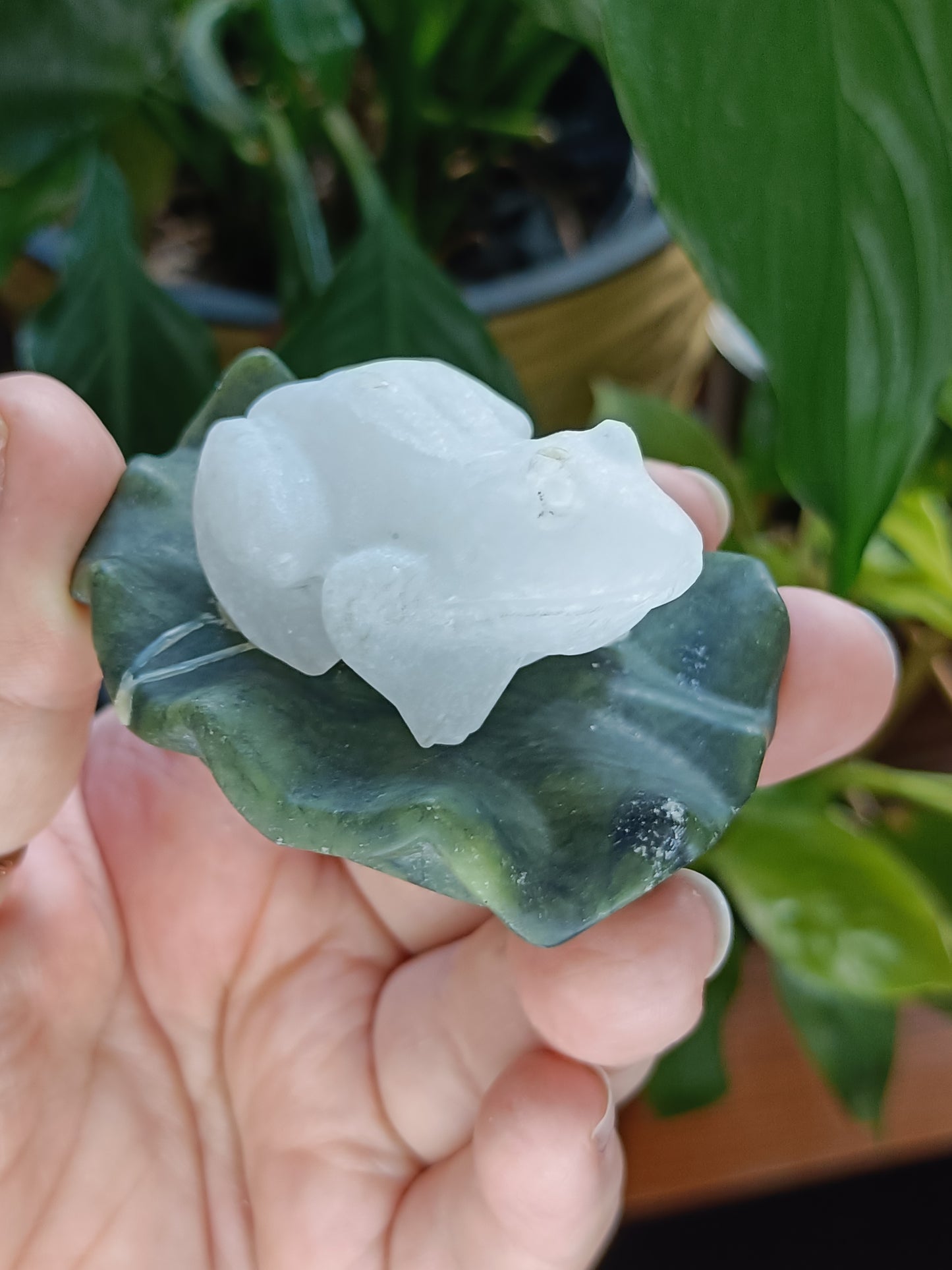 Frog on Lily Pad Small Carving - 80-110g
