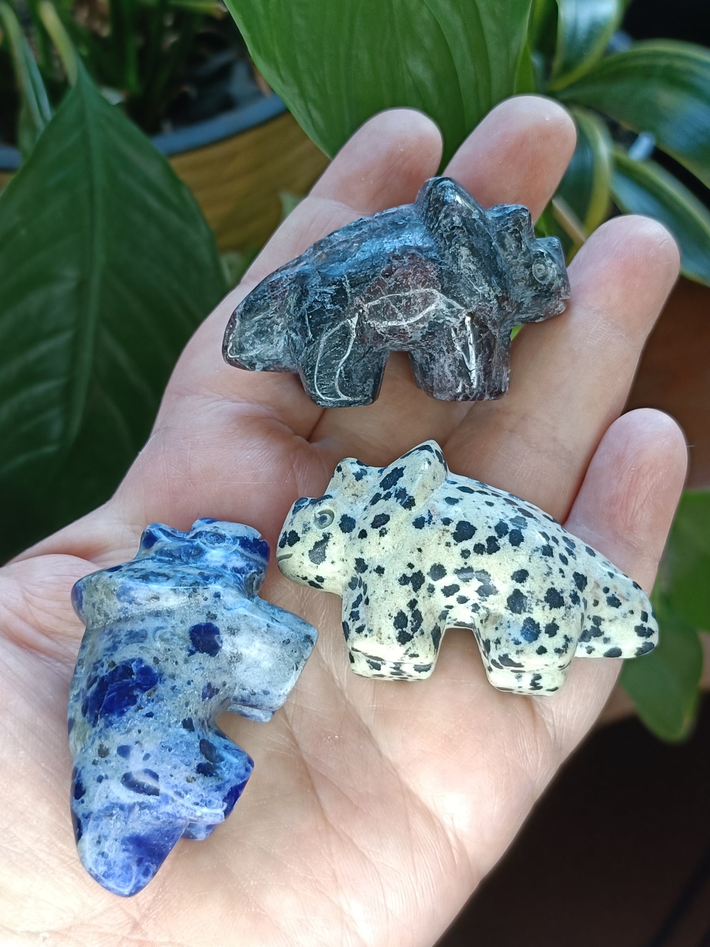 Triceratops Small Carving - 50g