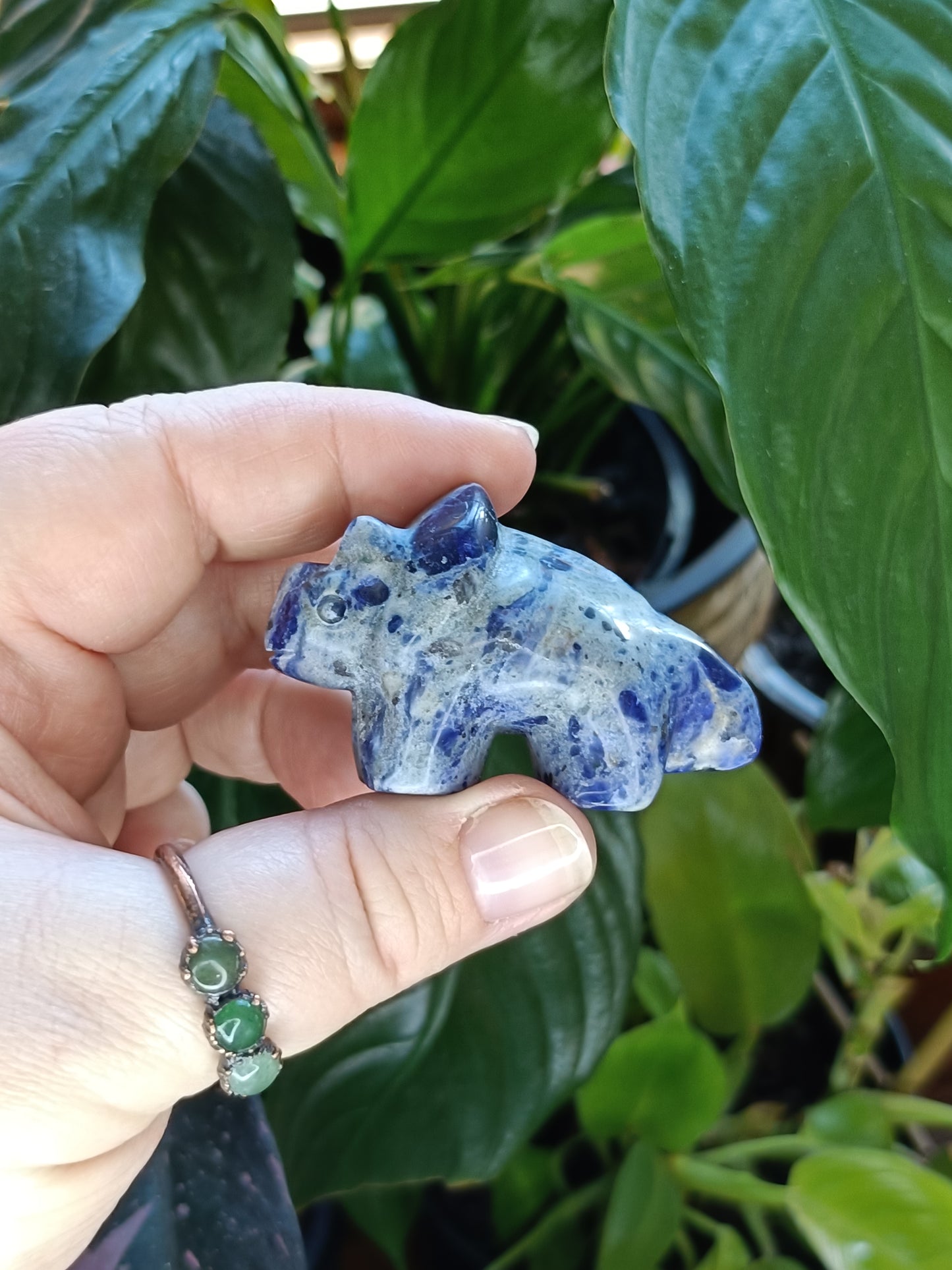 Triceratops Small Carving - 50g