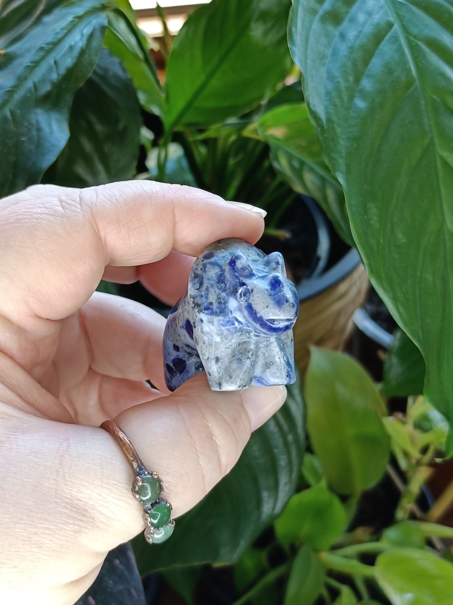 Triceratops Small Carving - 50g