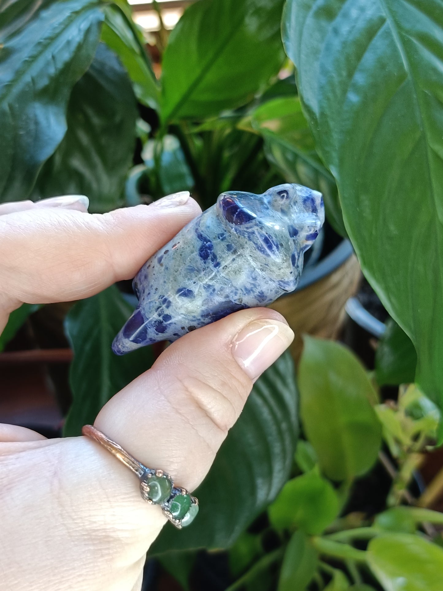 Triceratops Small Carving - 50g
