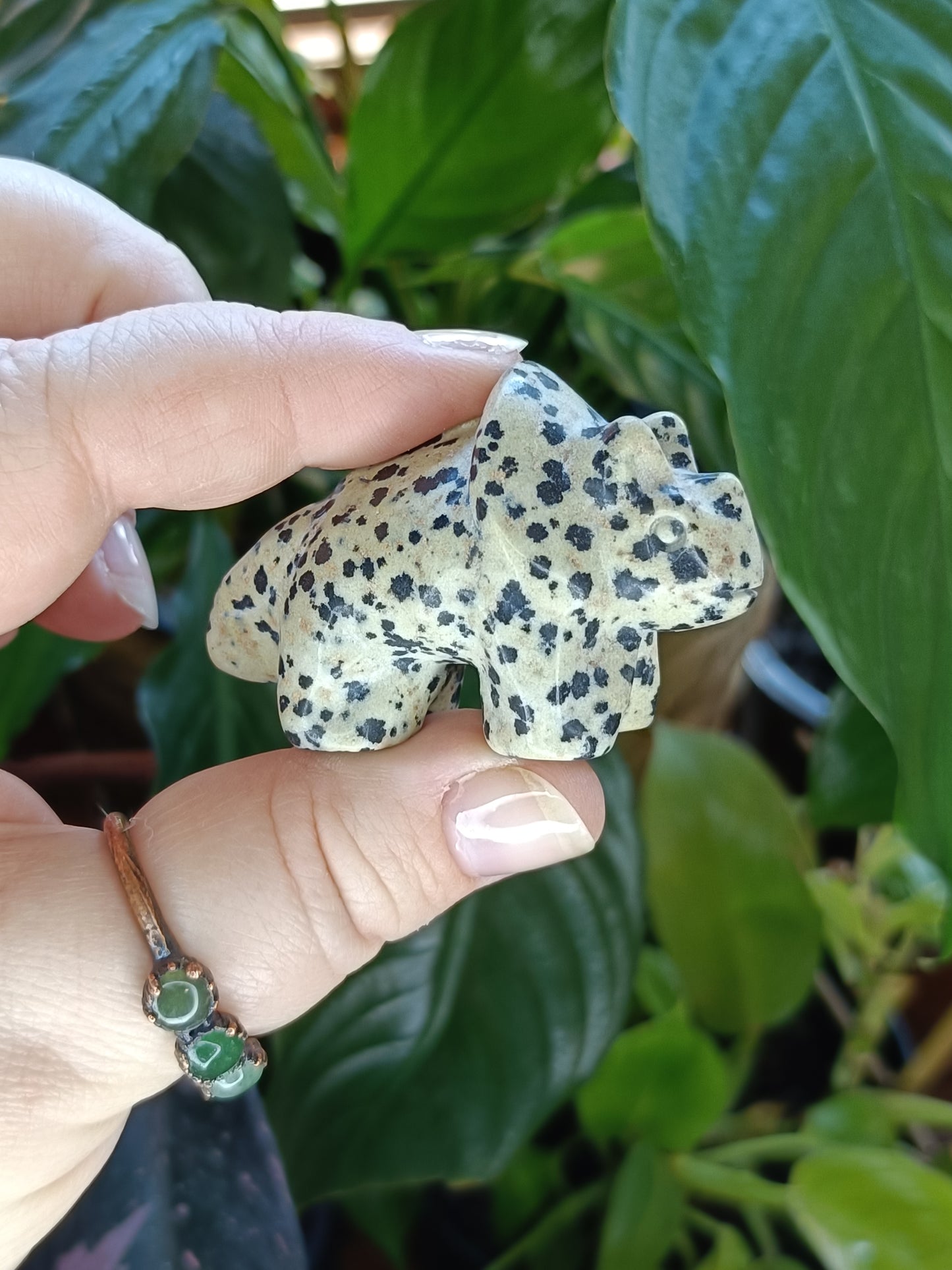 Triceratops Small Carving - 50g