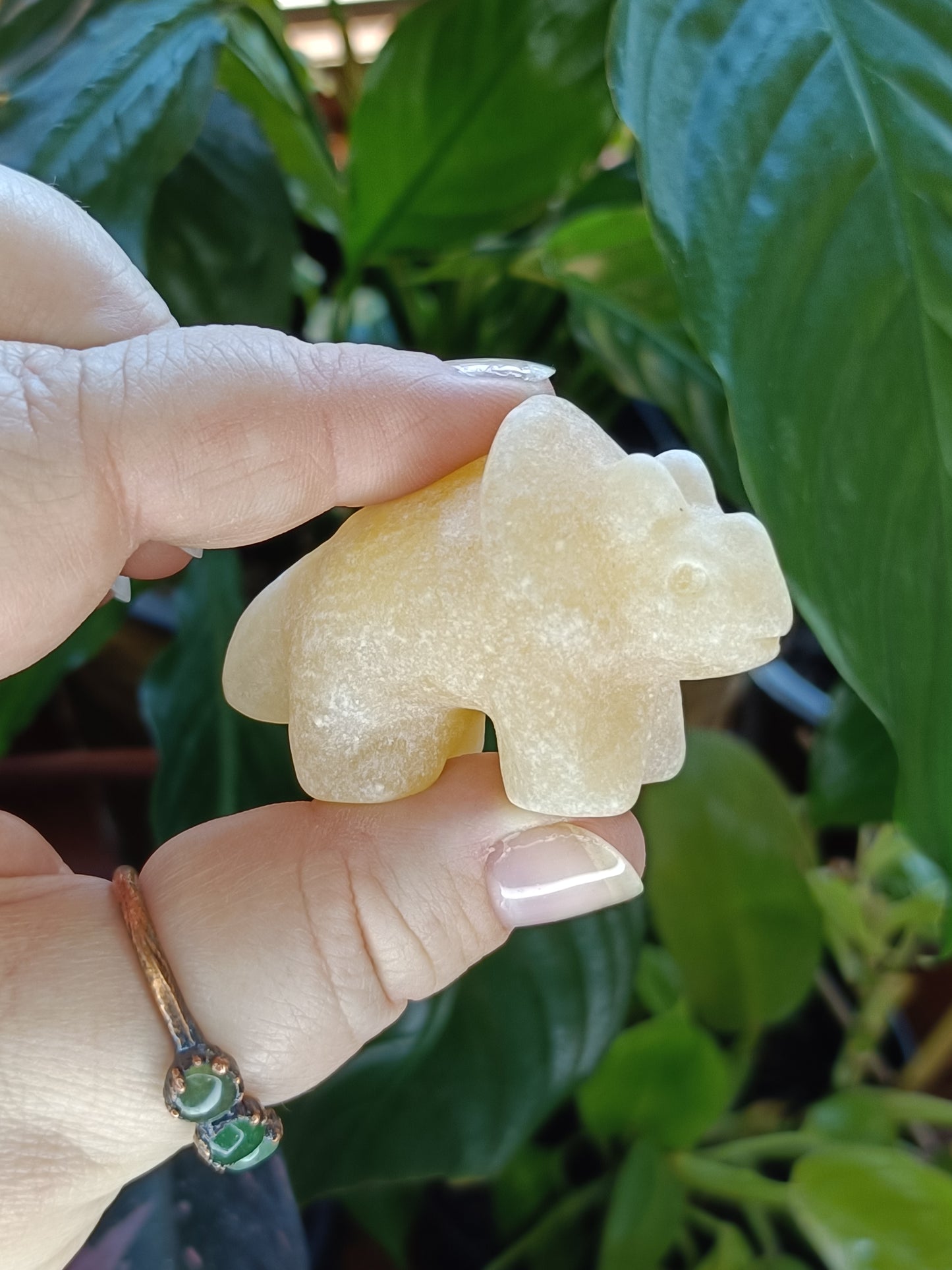 Triceratops Small Carving - 50g