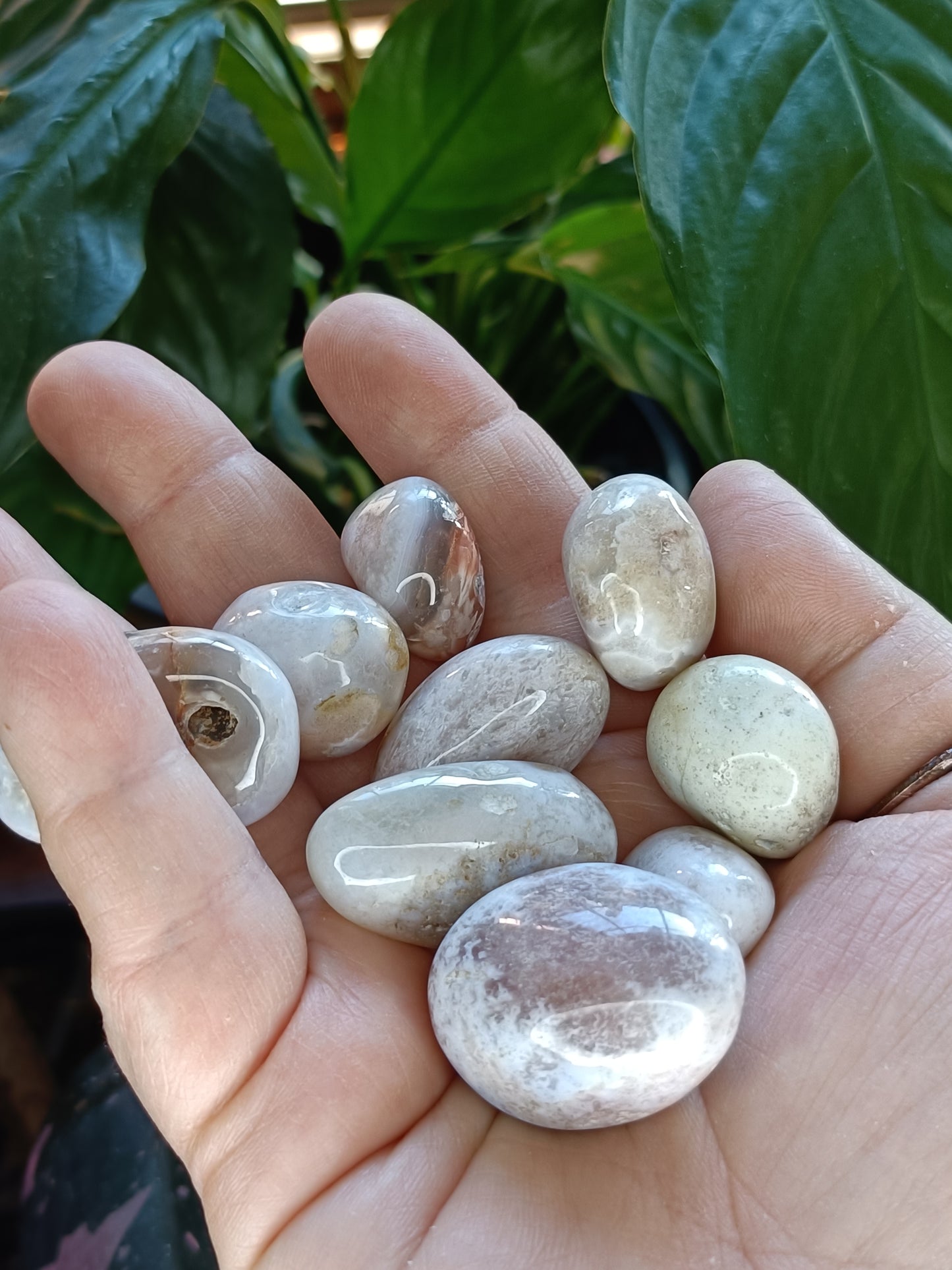 Pink Amethyst & Flower Agate Tumbles - 50g