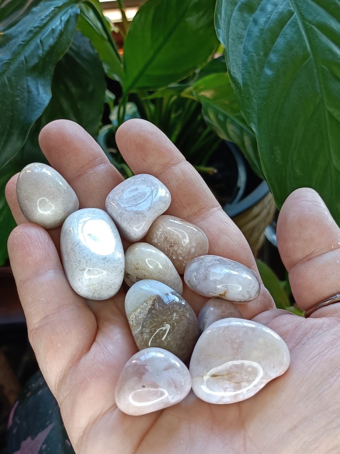 Pink Amethyst & Flower Agate Tumbles - 50g
