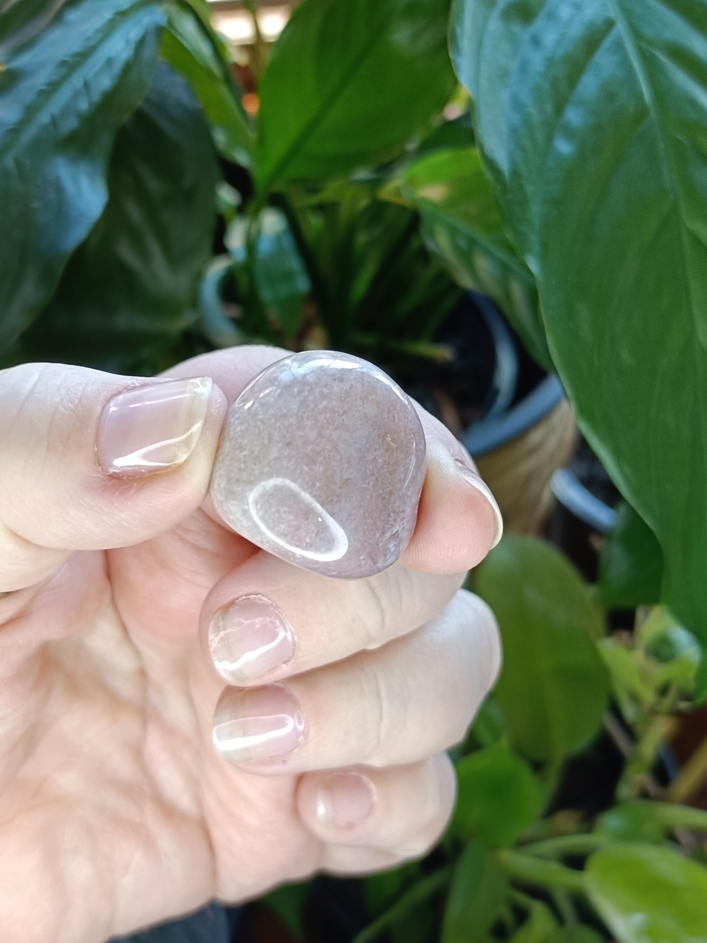 Pink Amethyst & Flower Agate Tumbles - 50g