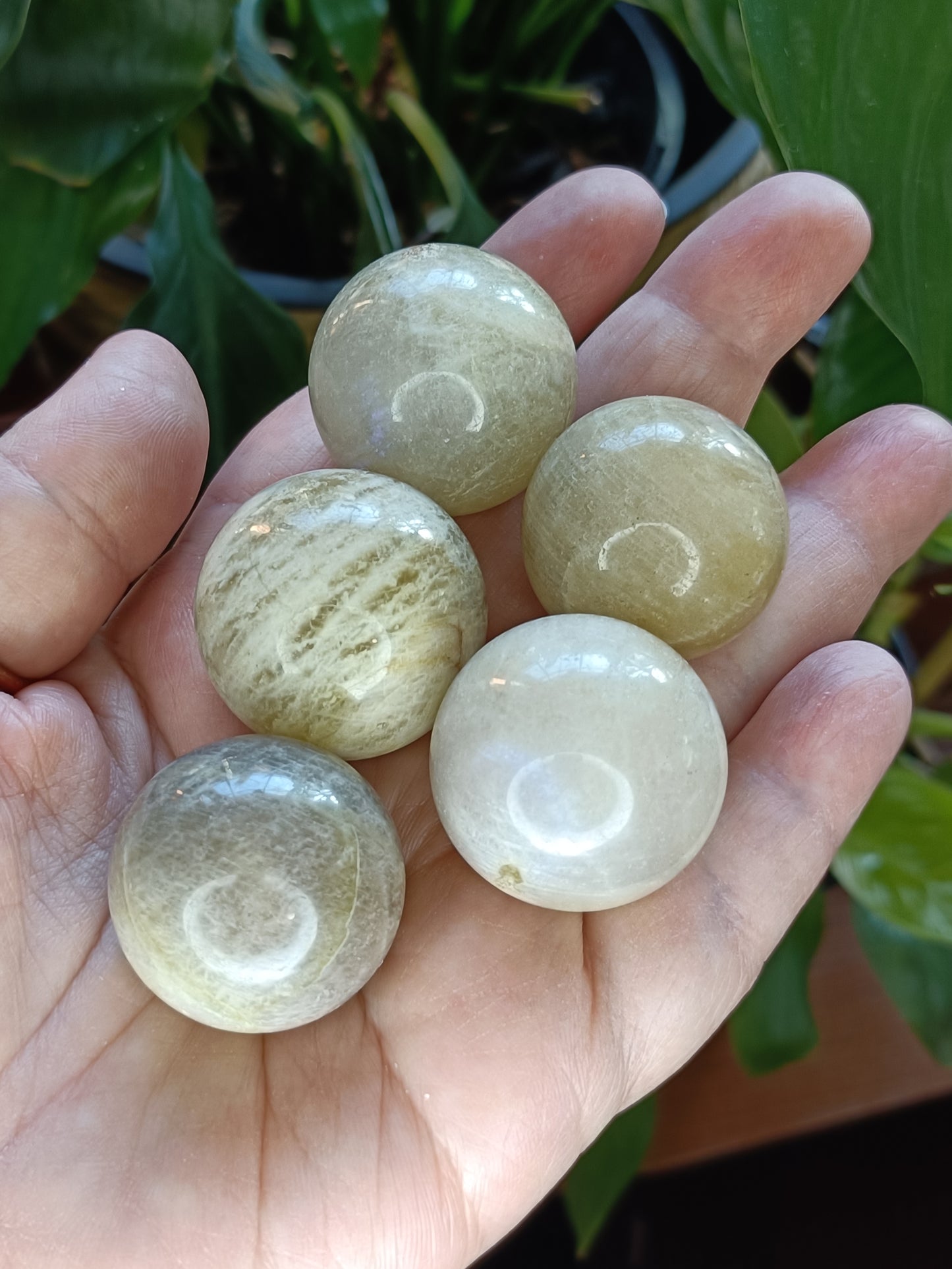 Blue Flash Moonstone Mini Spheres