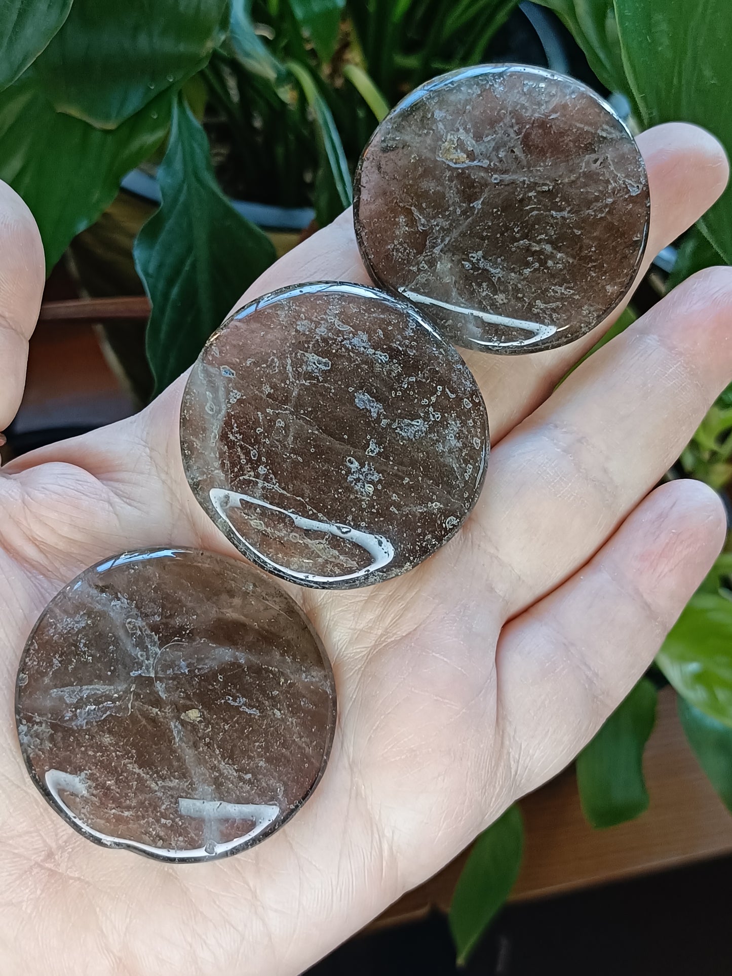 Dark Smokey Quartz Polished Round Discs - 25-35g