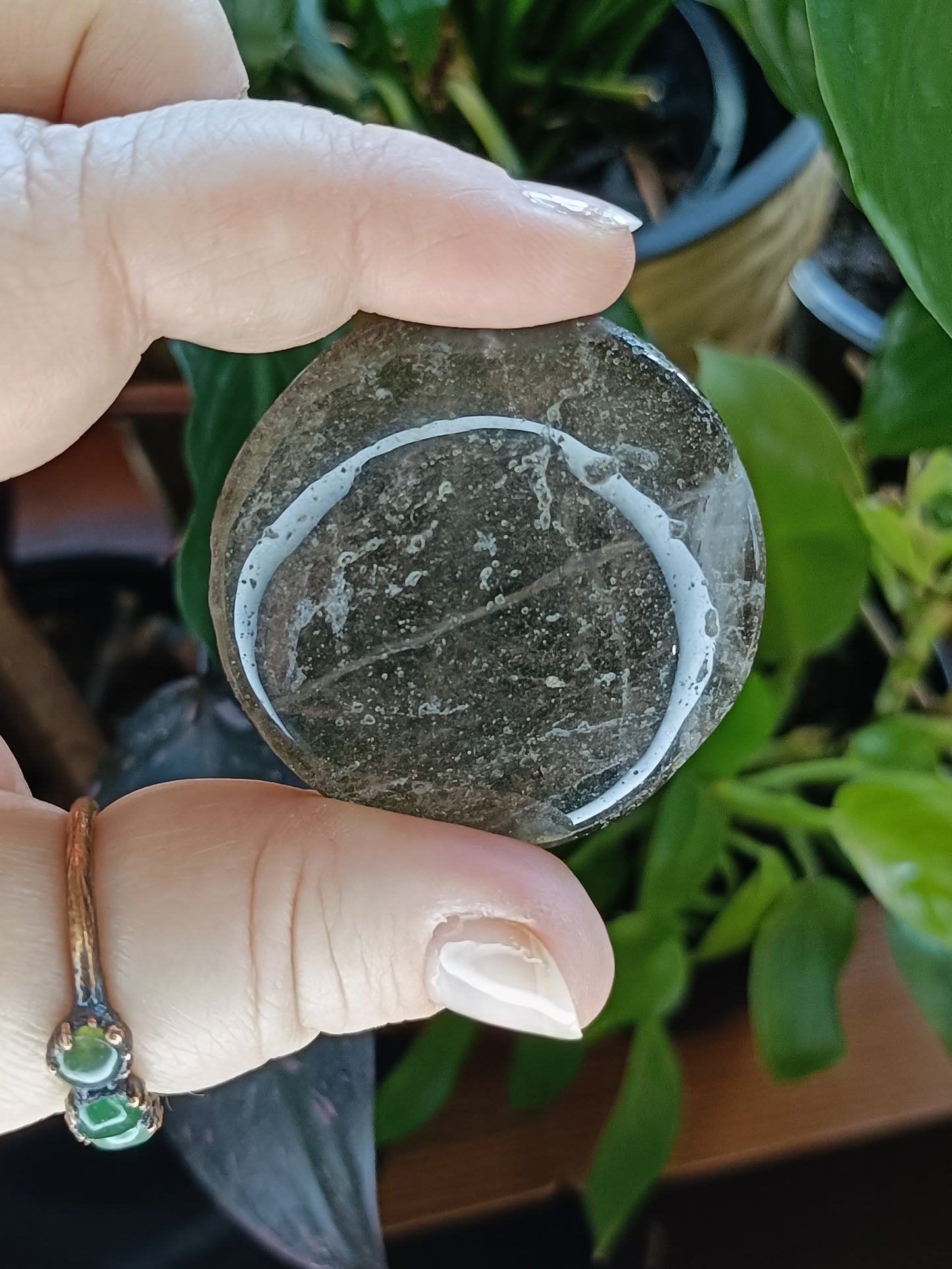 Dark Smokey Quartz Polished Round Discs - 25-35g