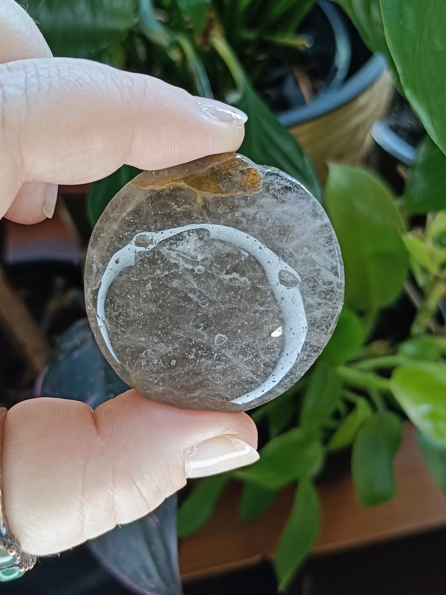 Dark Smokey Quartz Polished Round Discs - 25-35g