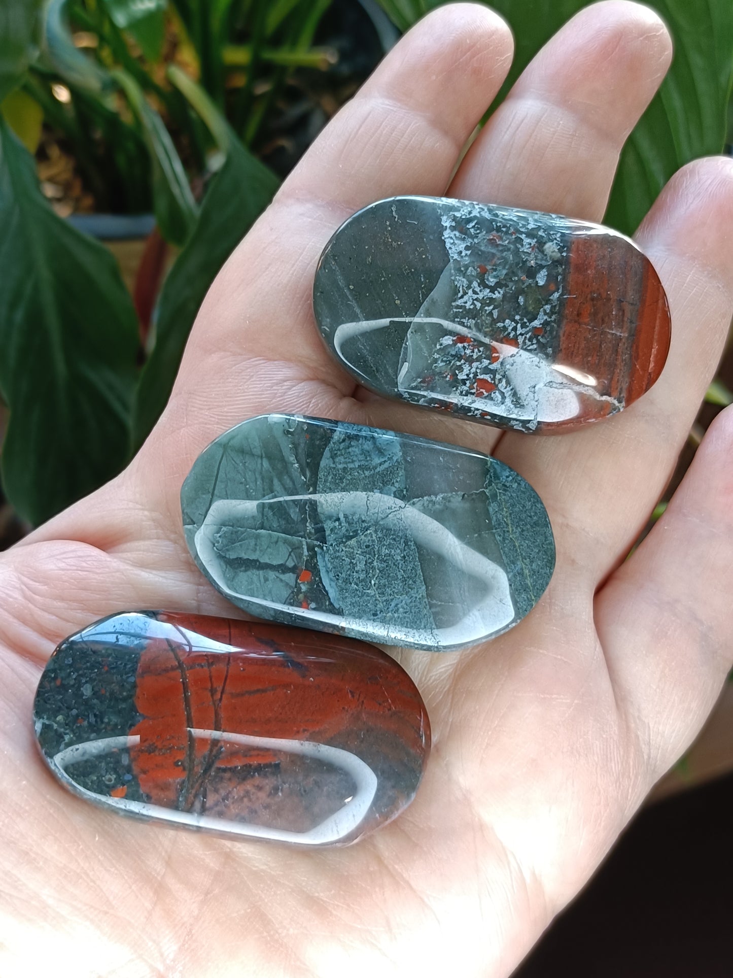 African Bloodstone Palm Stone - 25-45g