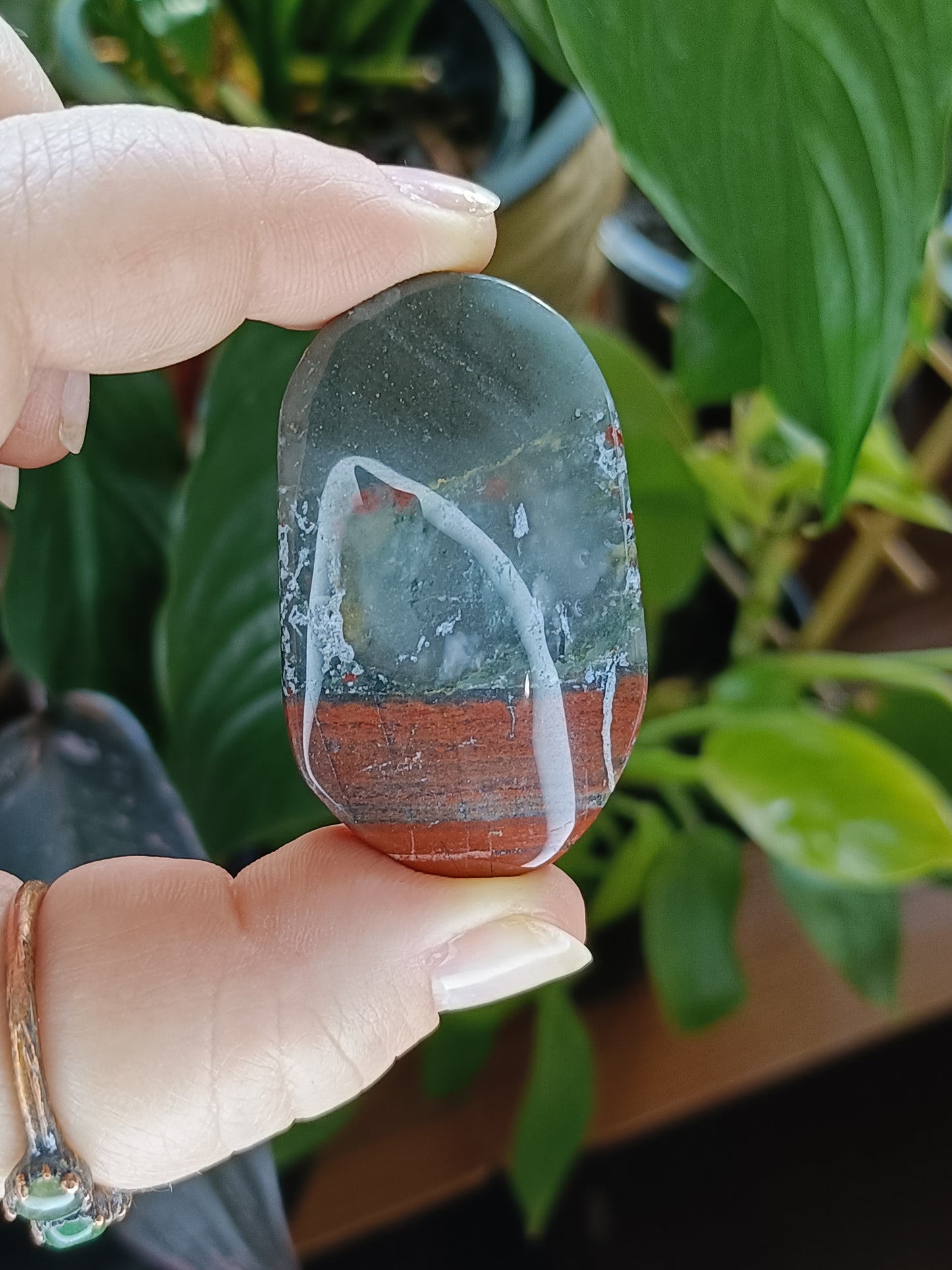 African Bloodstone Palm Stone - 25-45g
