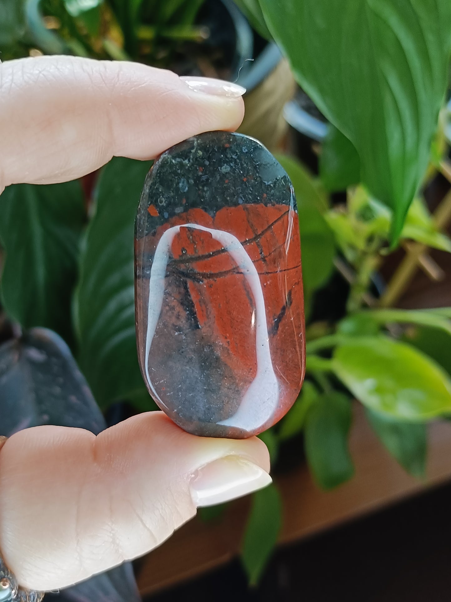 African Bloodstone Palm Stone - 25-45g