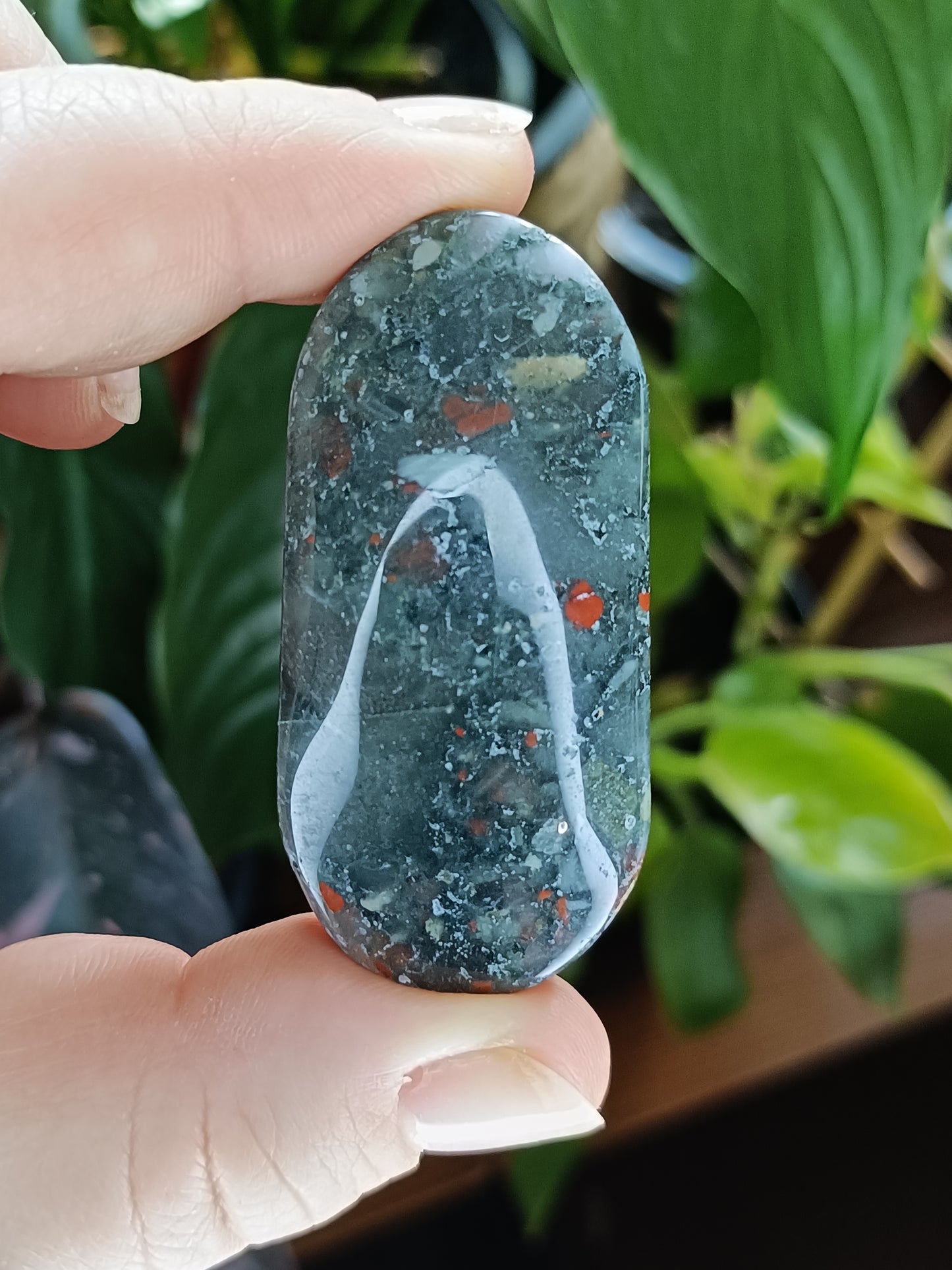 African Bloodstone Palm Stone - 25-45g