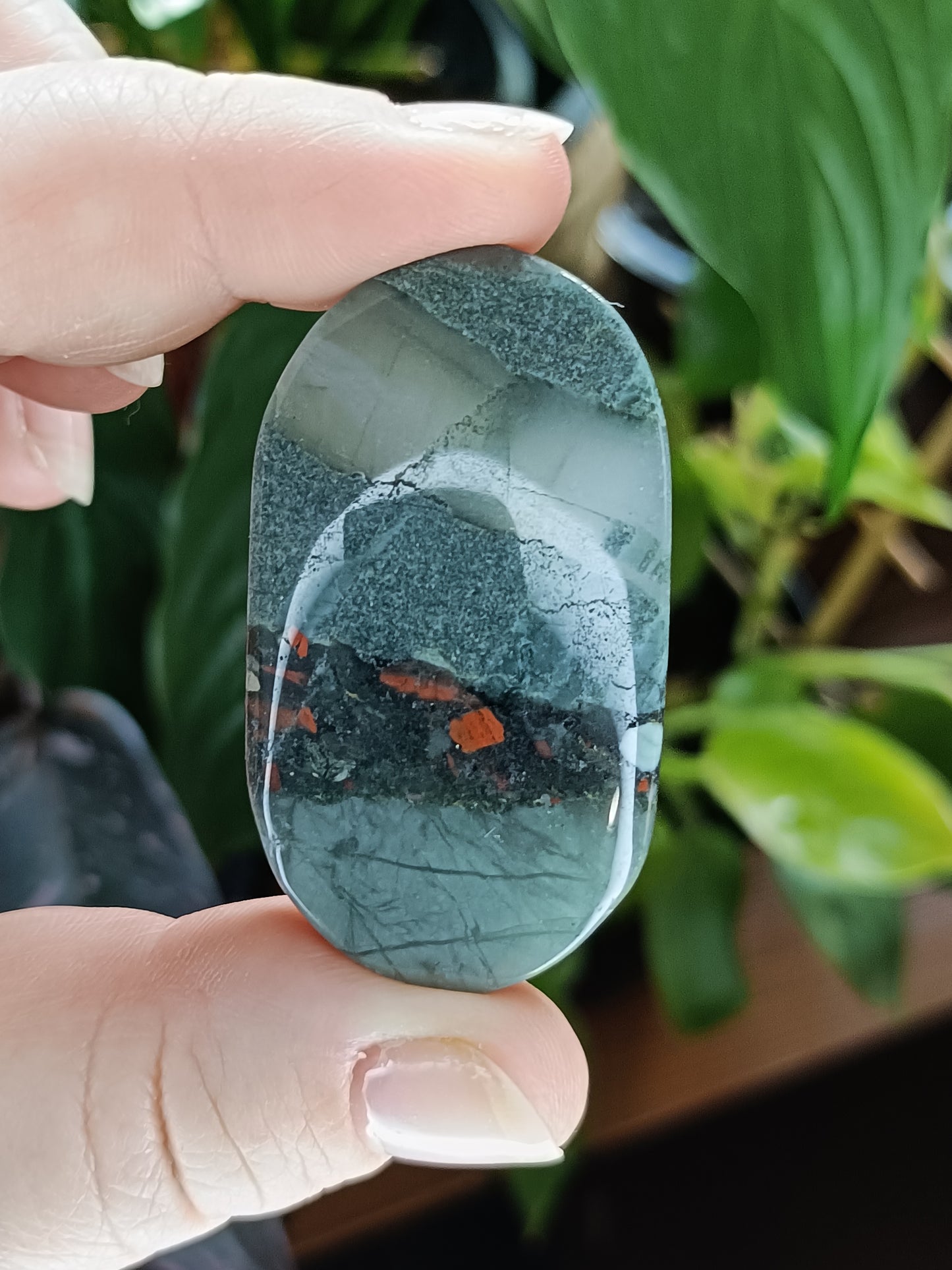 African Bloodstone Palm Stone - 25-45g