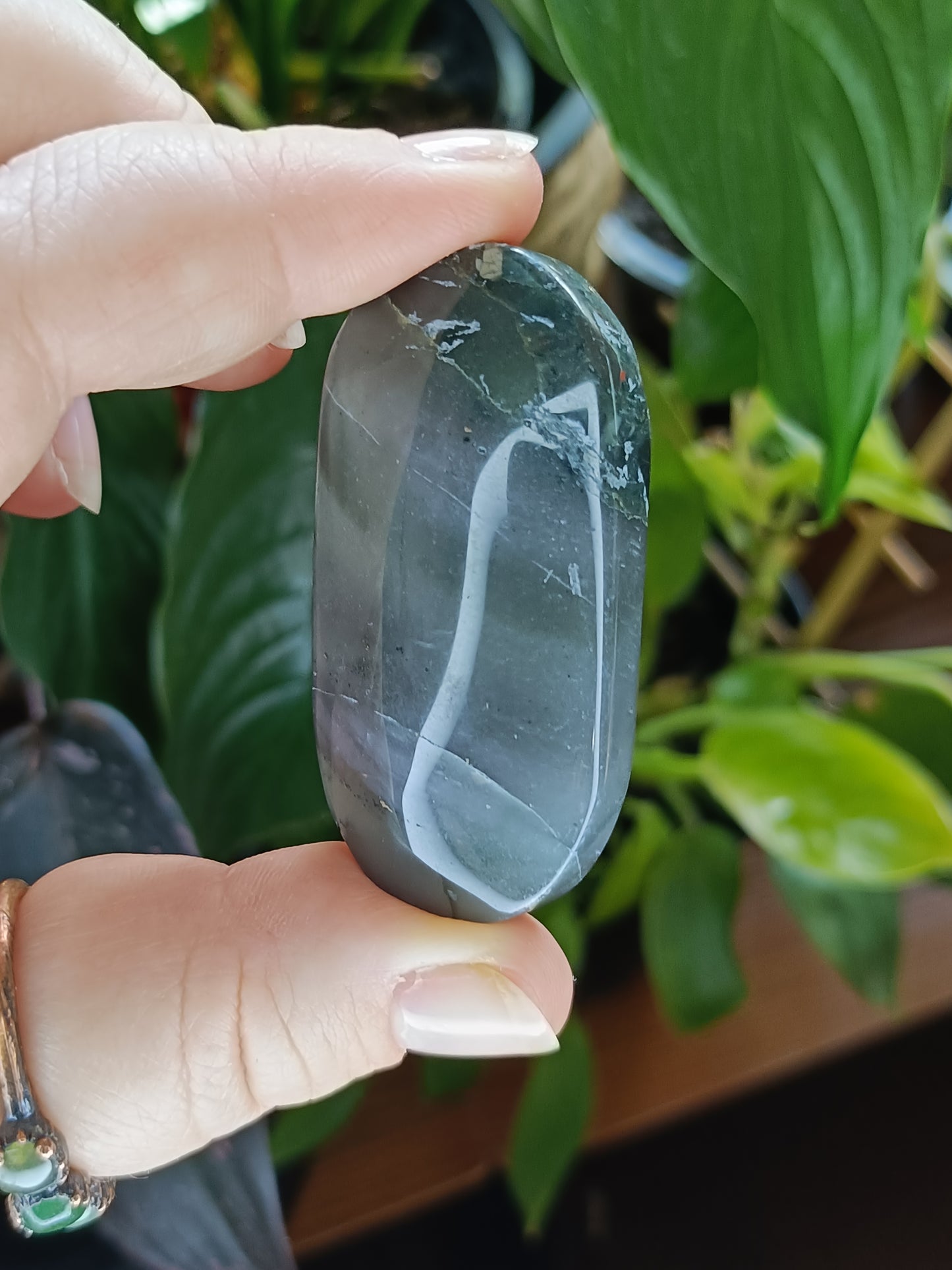 African Bloodstone Palm Stone - 25-45g