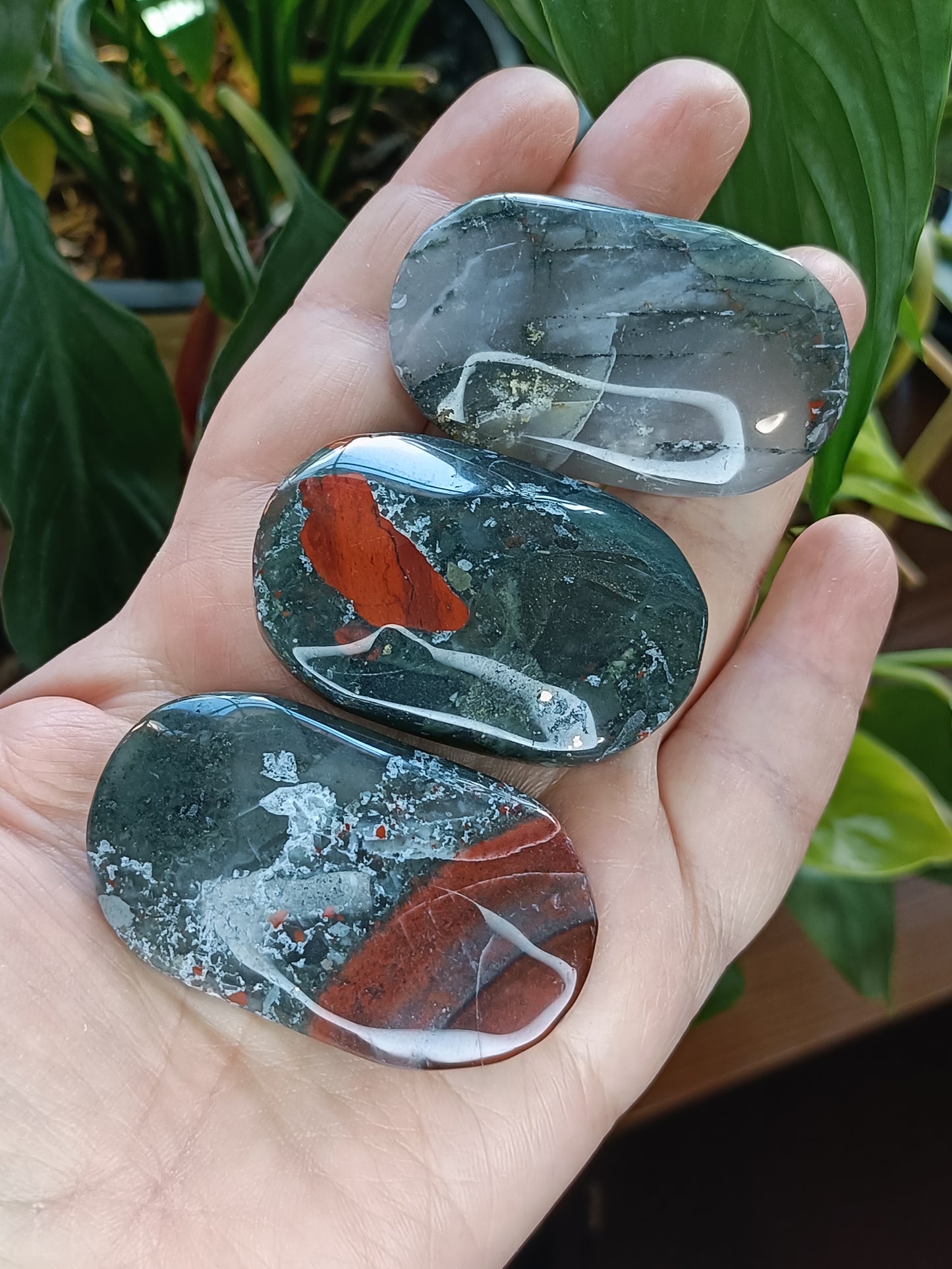 African Bloodstone Palm Stone - 45-60g