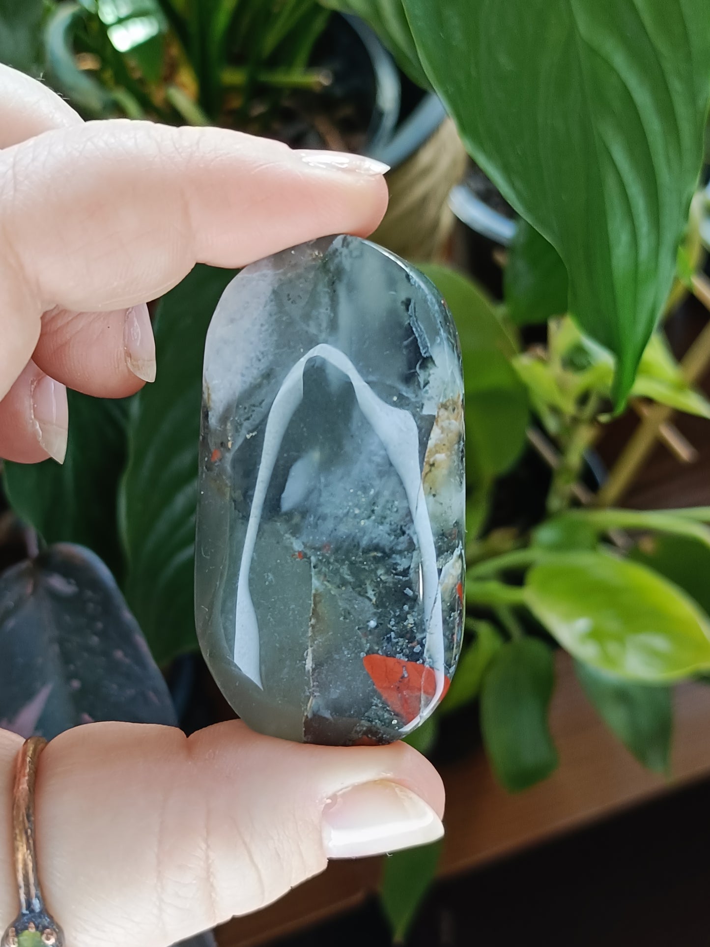 African Bloodstone Palm Stone - 45-60g