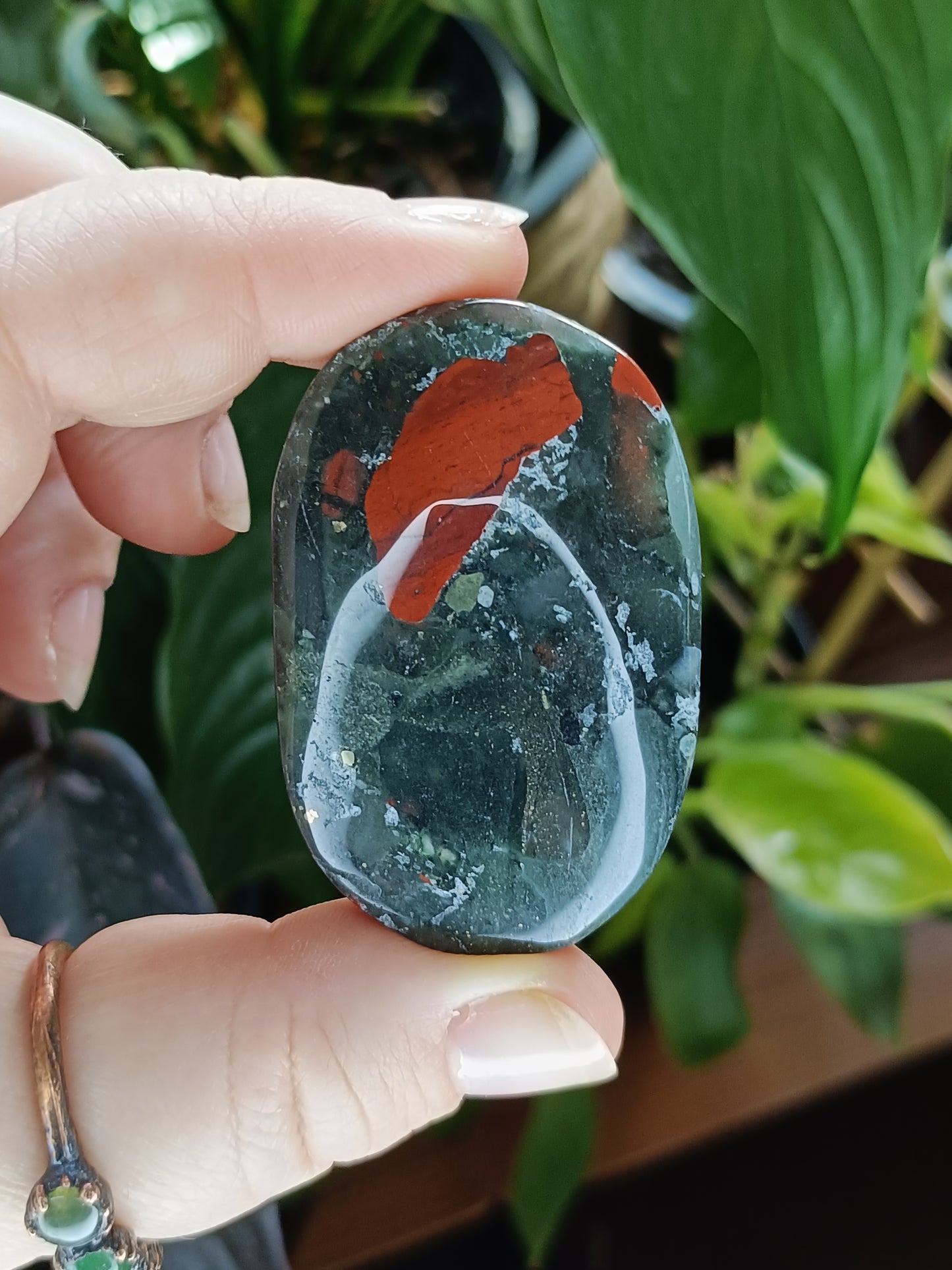African Bloodstone Palm Stone - 45-60g