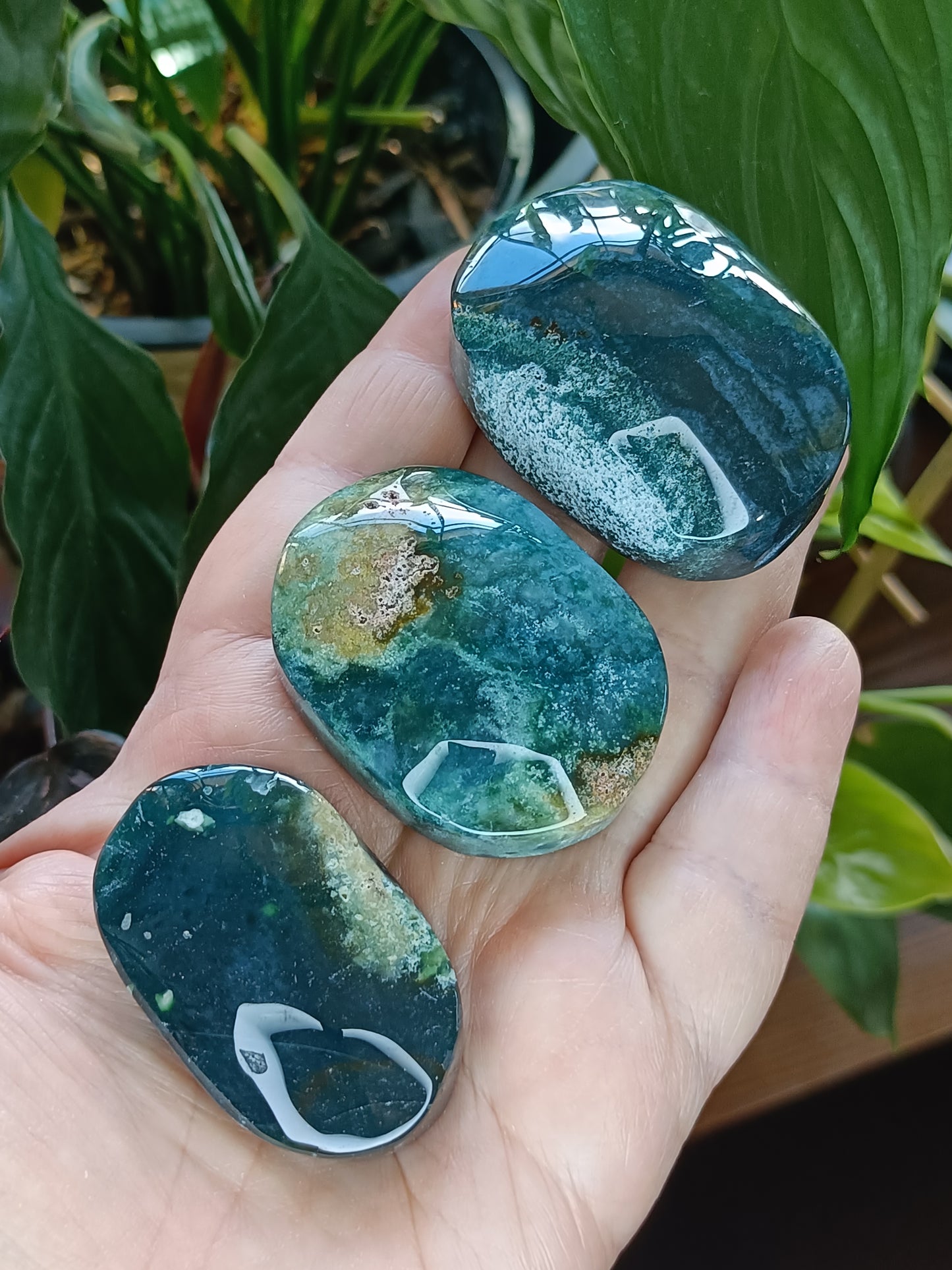 Moss Agate Palm Stone - 40-70g