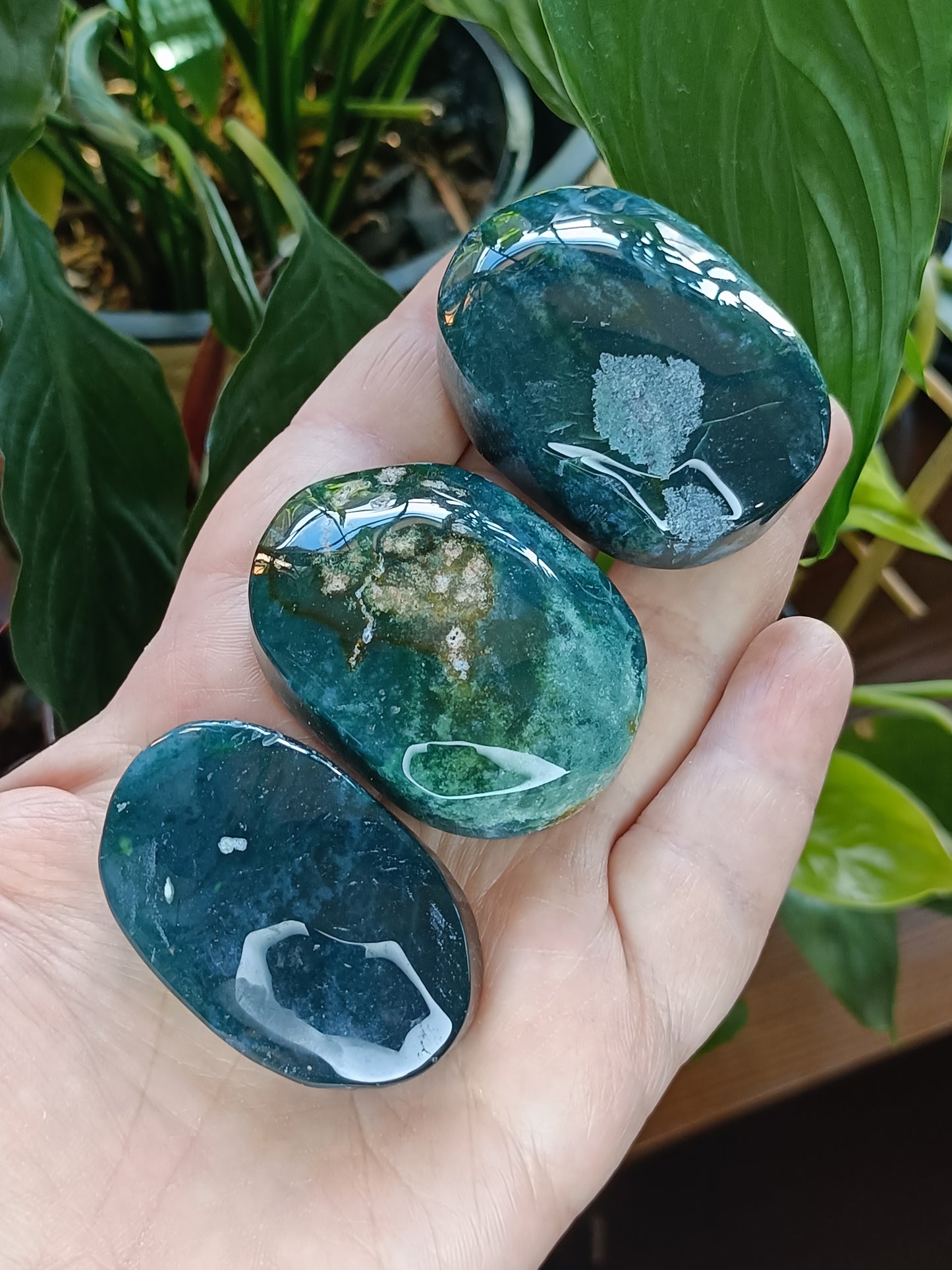 Moss Agate Palm Stone - 40-70g
