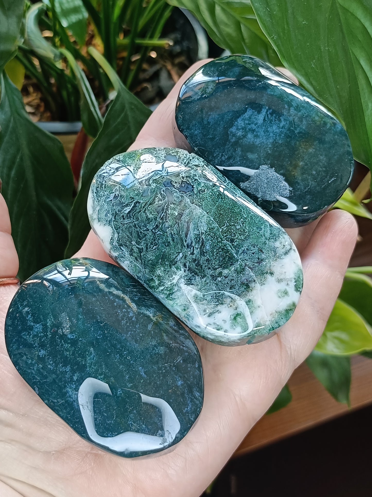 Moss Agate Palm Stone - 135-150g