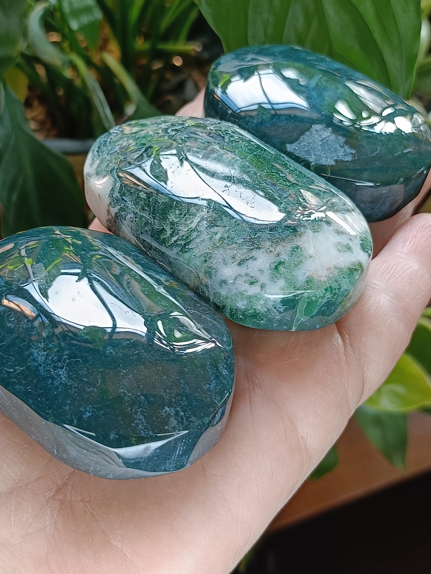 Moss Agate Palm Stone - 135-150g
