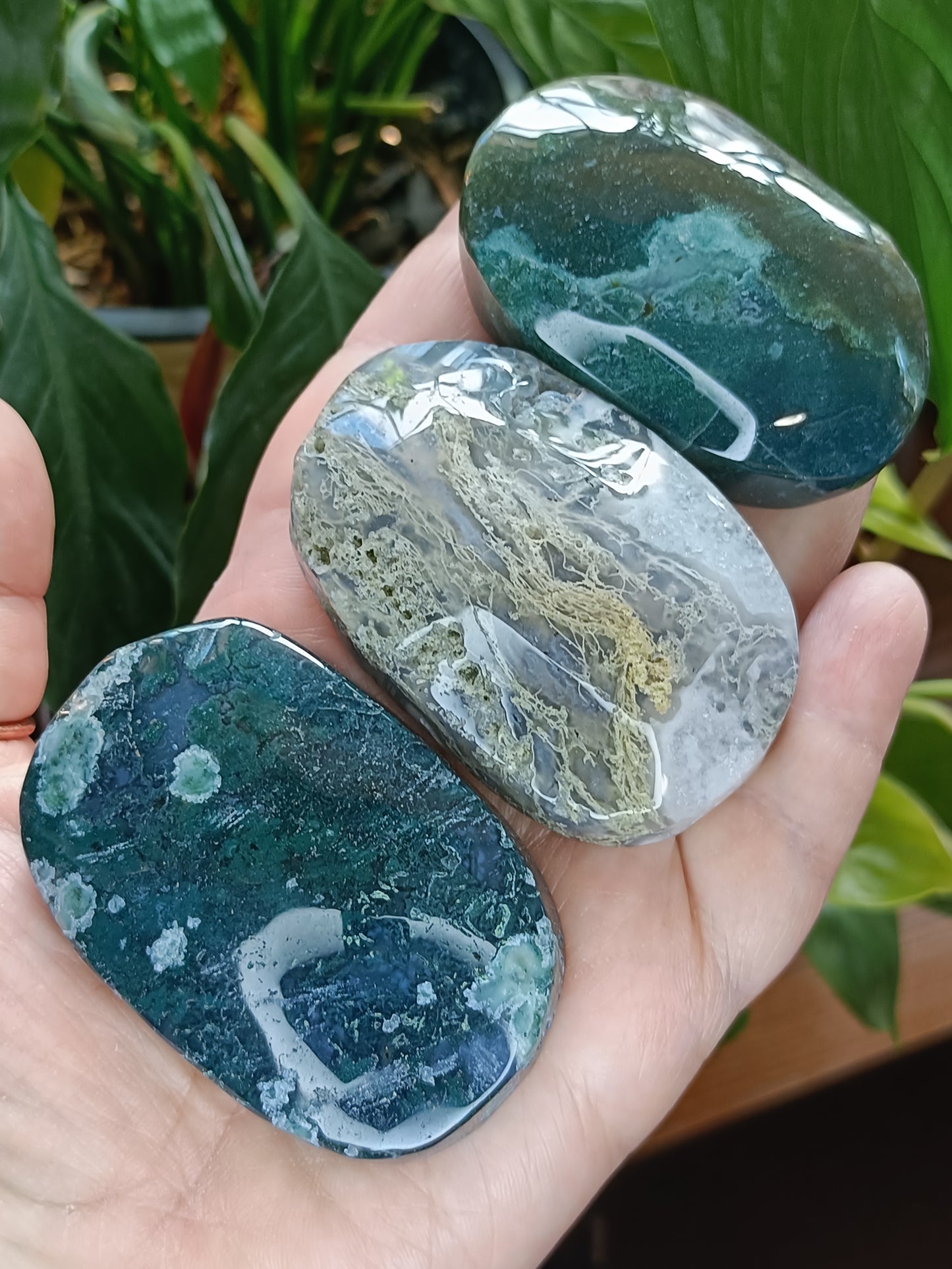 Moss Agate Palm Stone - 100-120g