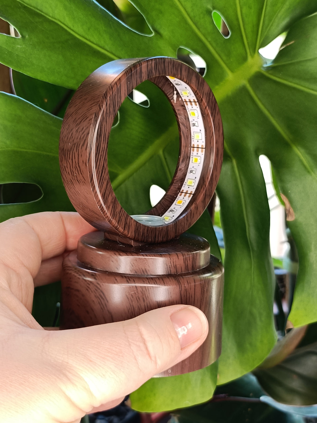 Spinning Jarrah Tone LED Sphere Holder