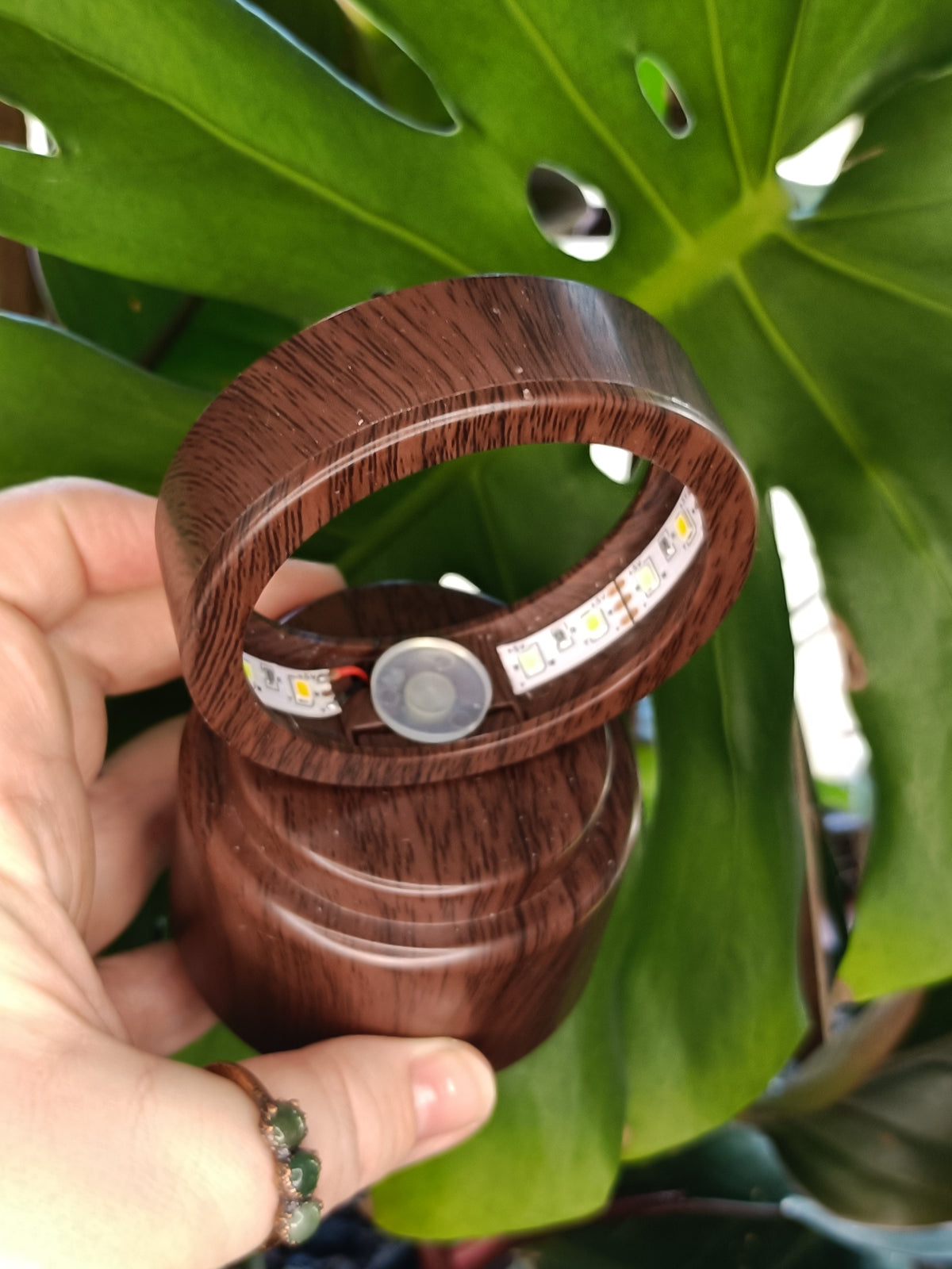 Spinning Jarrah Tone LED Sphere Holder