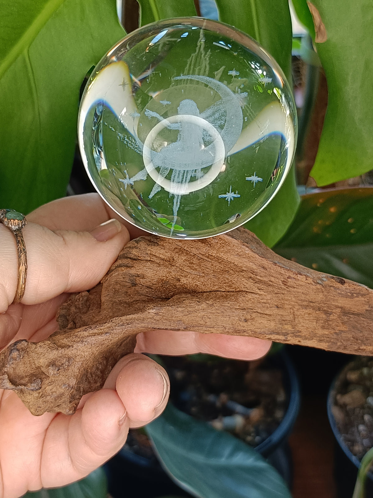 Assorted Single Sphere Natural Wood Holders
