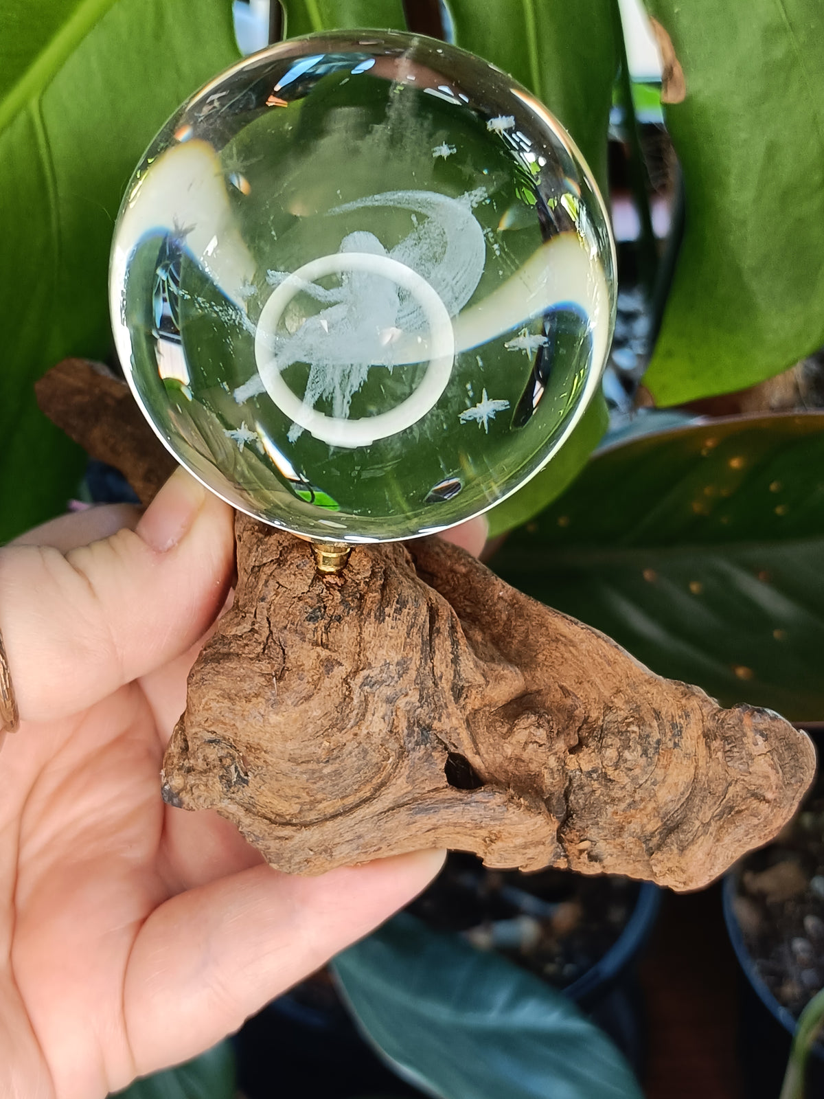 Assorted Single Sphere Natural Wood Holders