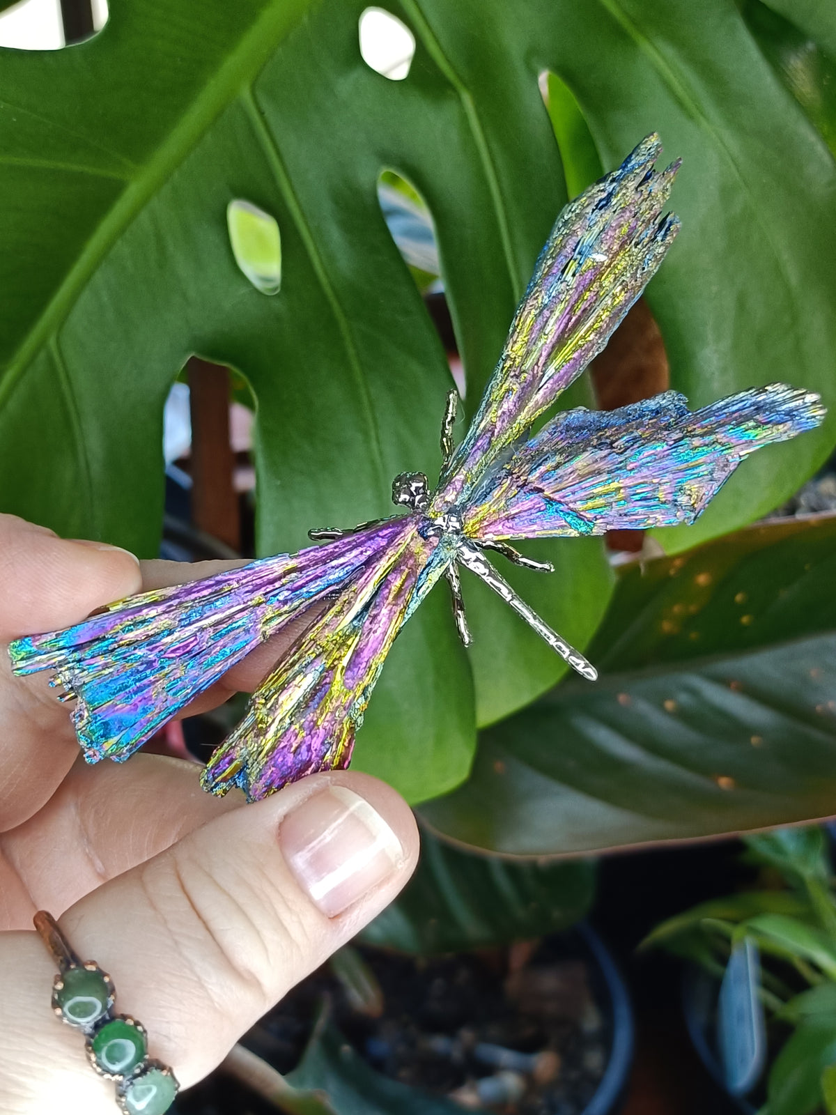 Aura Coated Black Kyanite Dragonflies