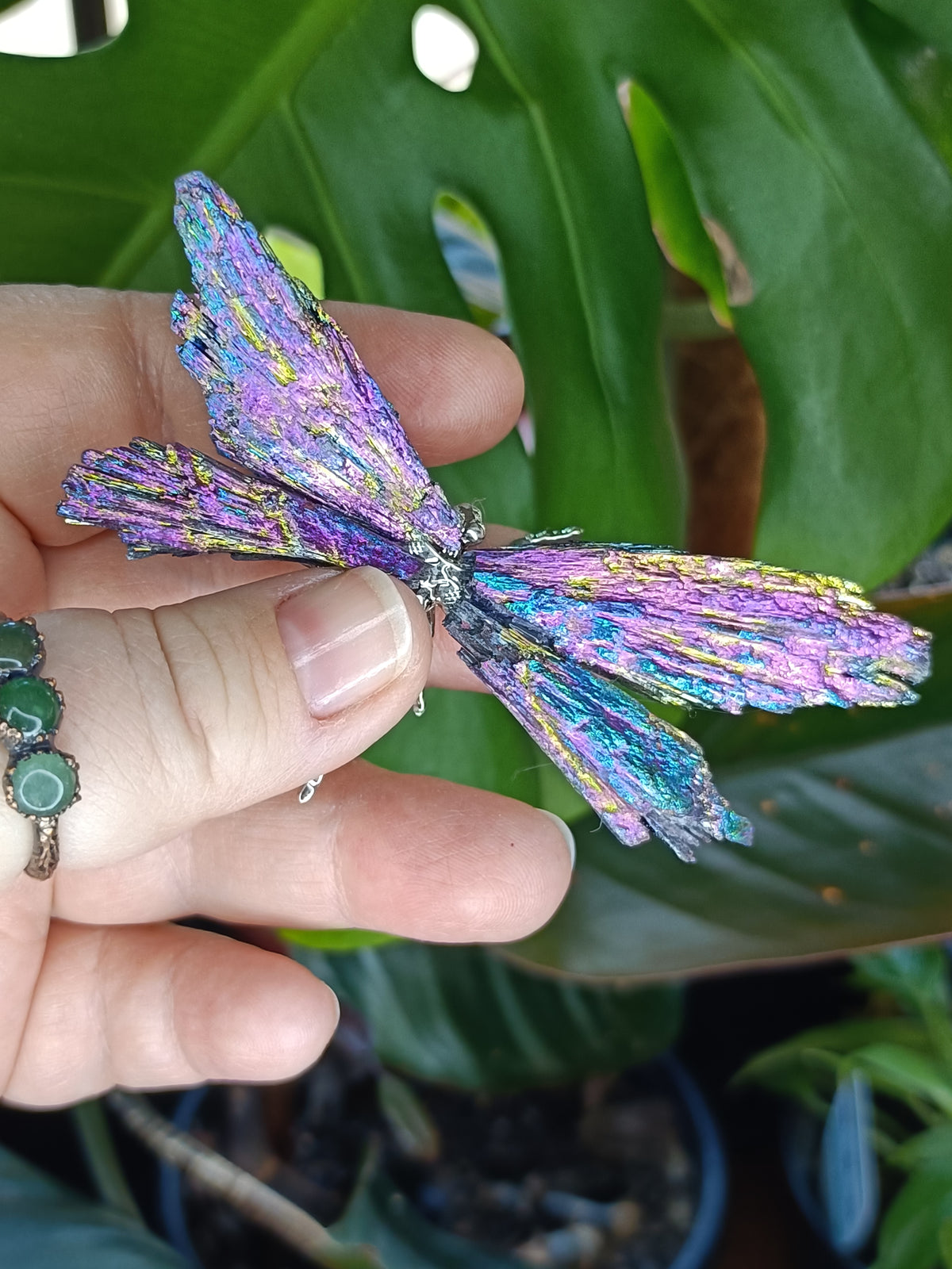 Aura Coated Black Kyanite Dragonflies