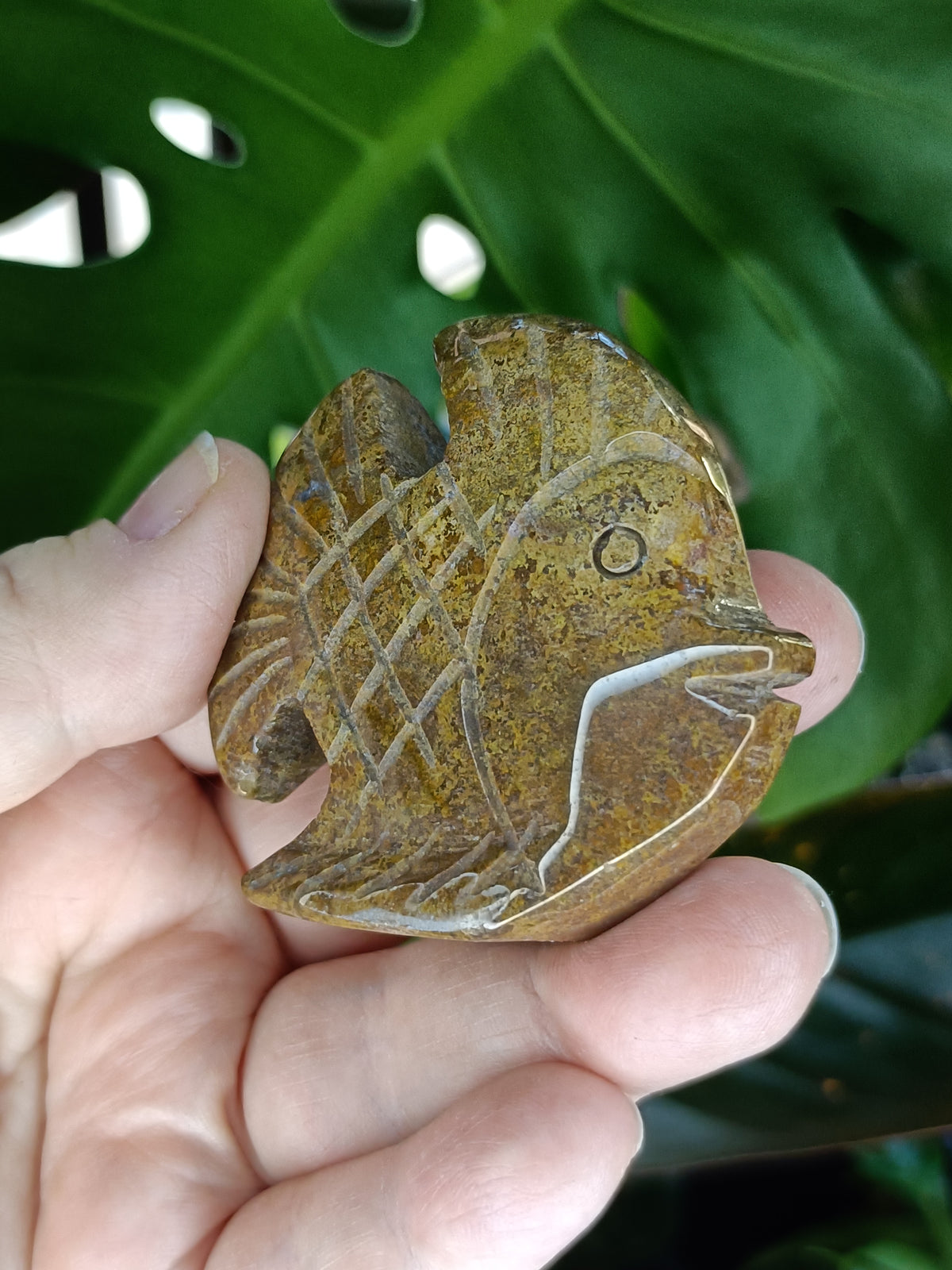 Sea Jasper Angel Fish Carving - 78g